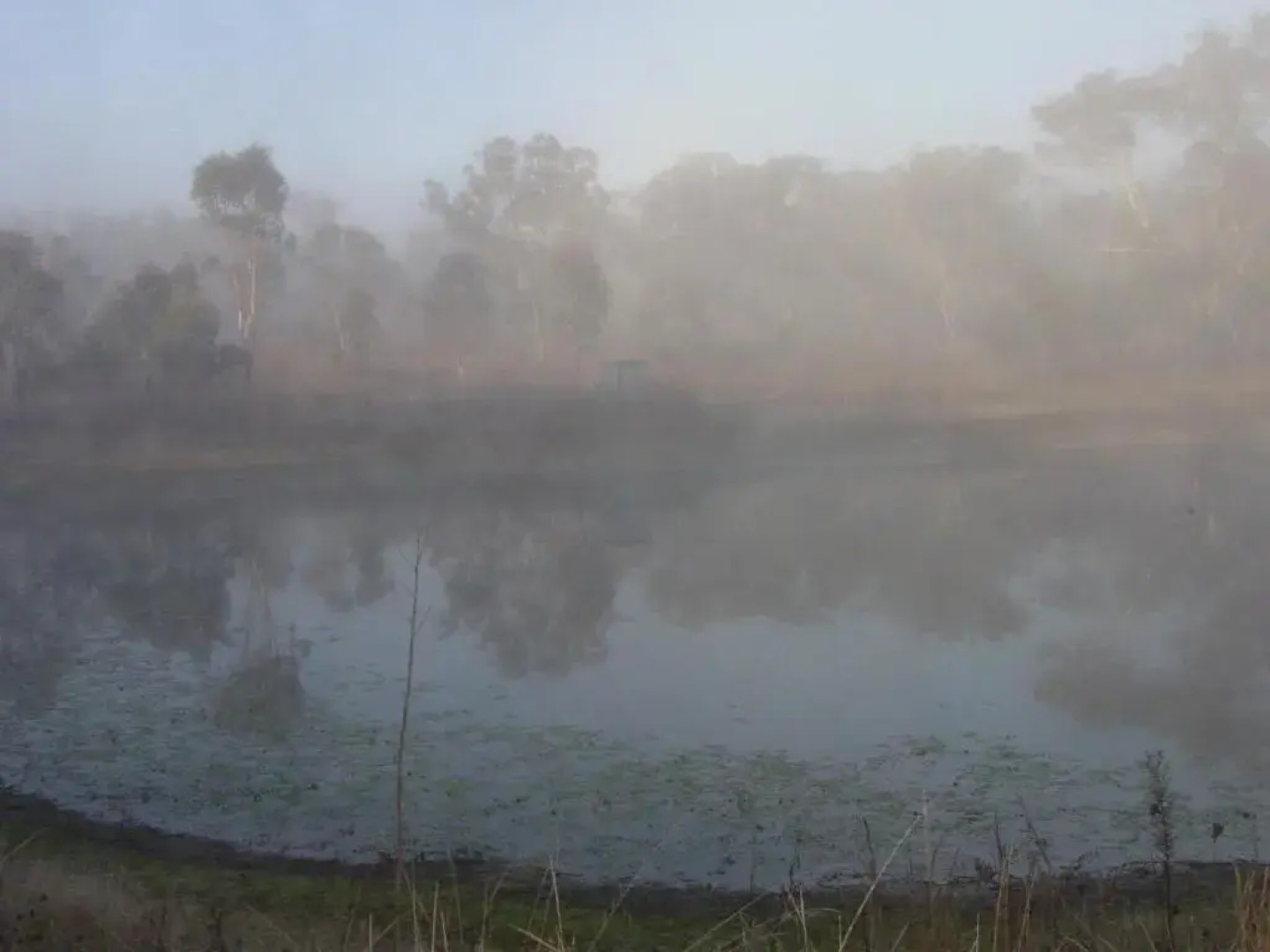 Fergies Hill Spa Cottage @ Granite Ridge Wines
