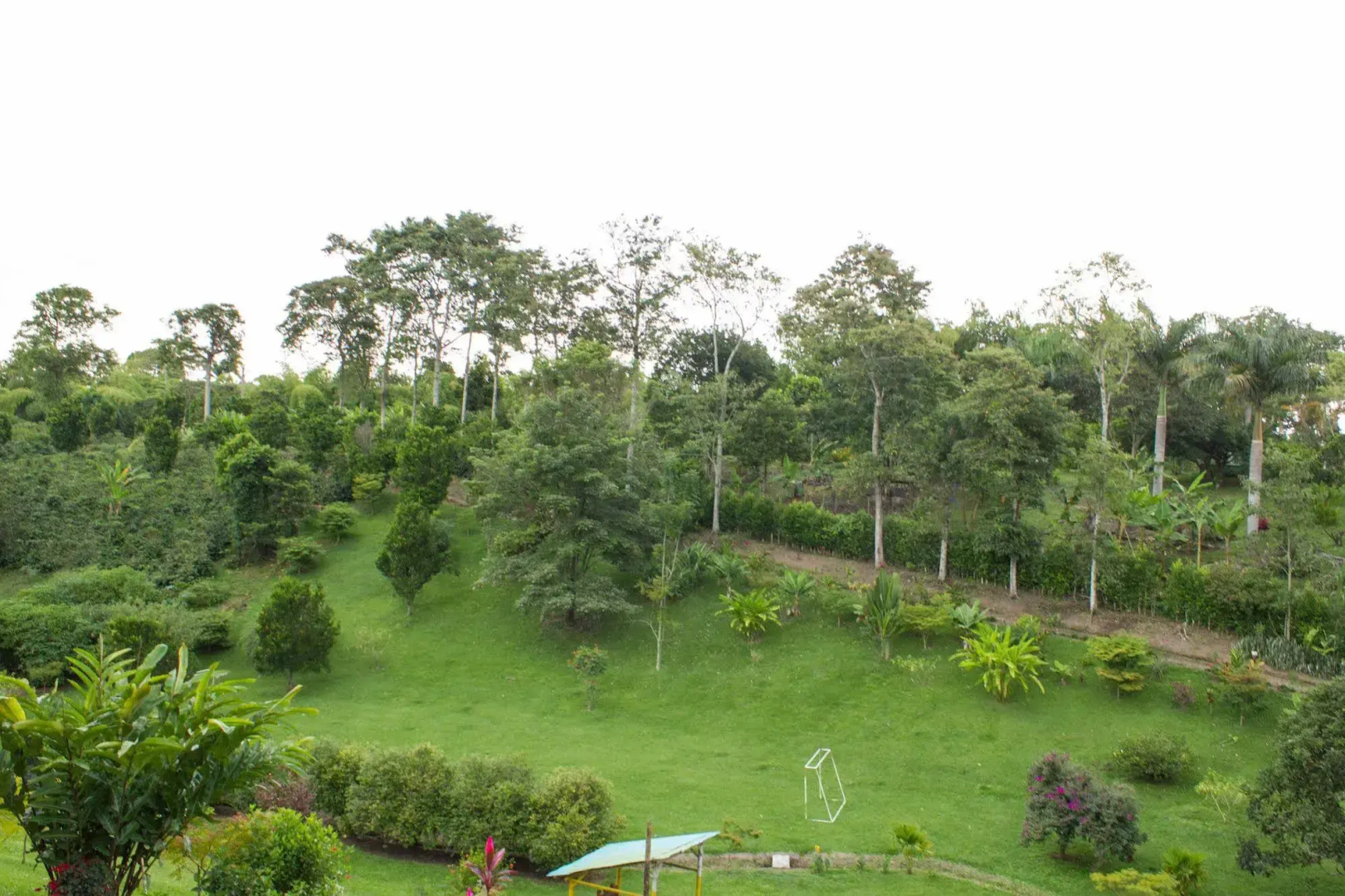 Finca Hotel La Tata