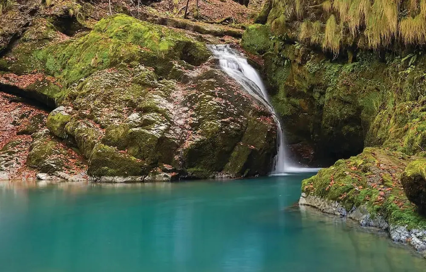 Amazing Home in Delnice With Wifi and 1 Bedrooms