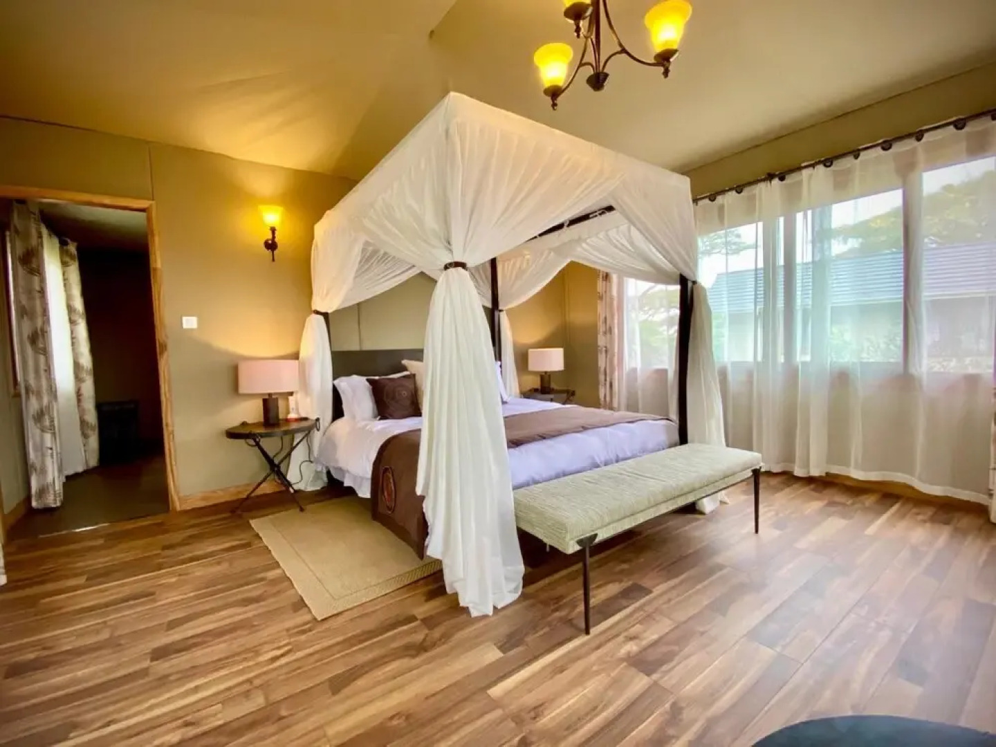 Ngorongoro Lions Paw