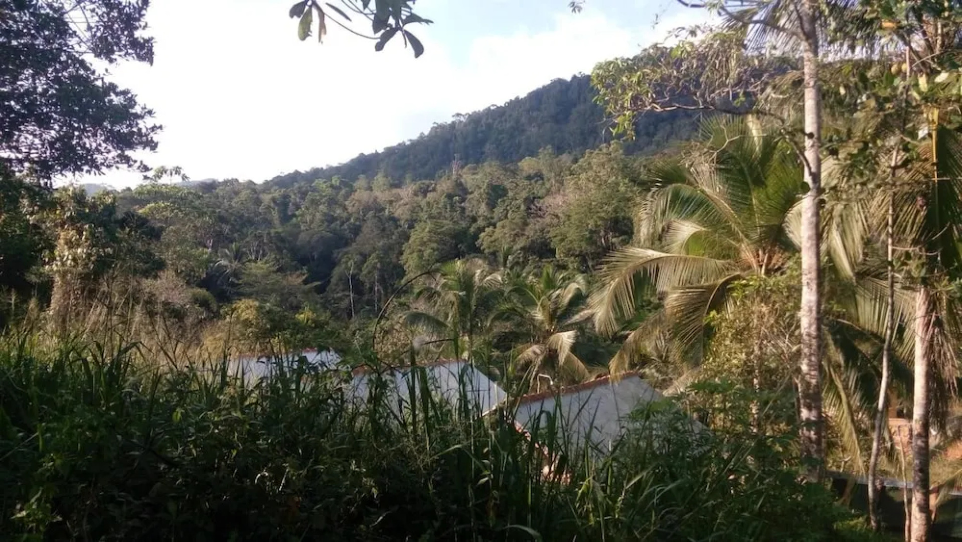 Sinharaja Rainforest View Villas
