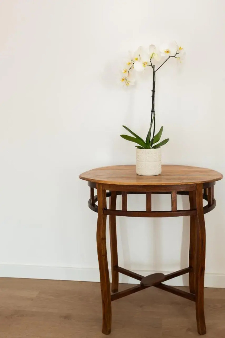 Raminhos Guest House