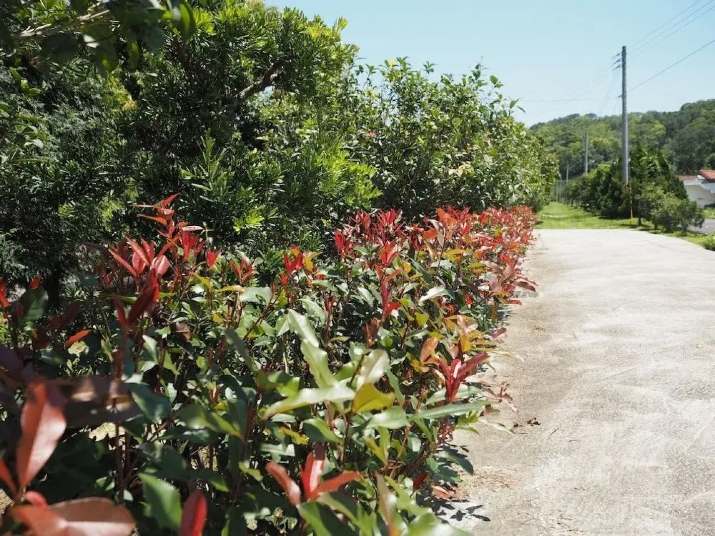 Green Island Guest House
