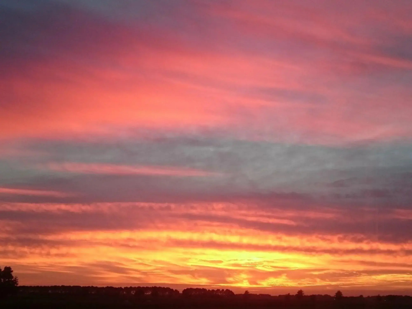 Cozy Vacation Home With Terrace