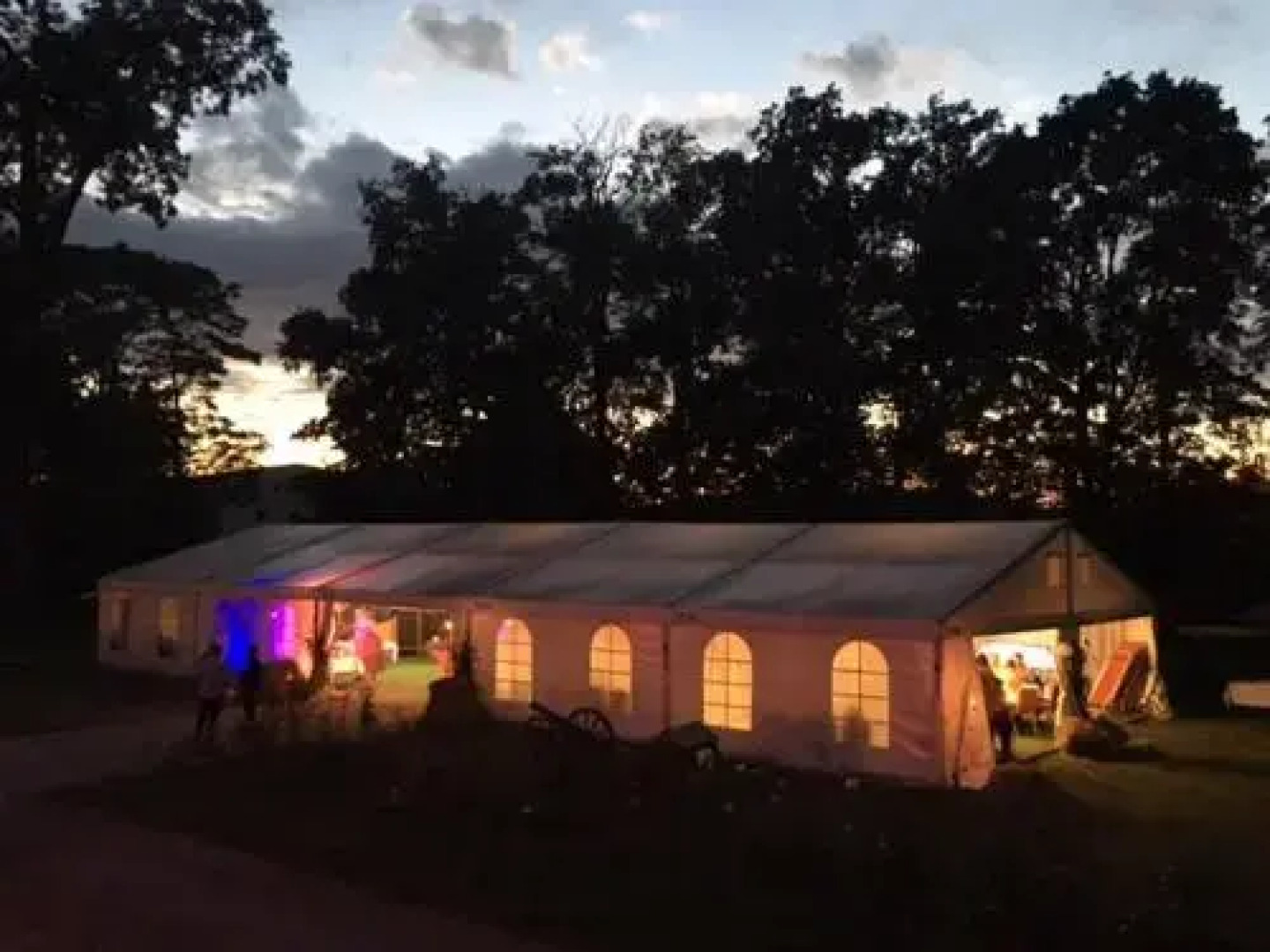 Hotel Palac Witaszyce