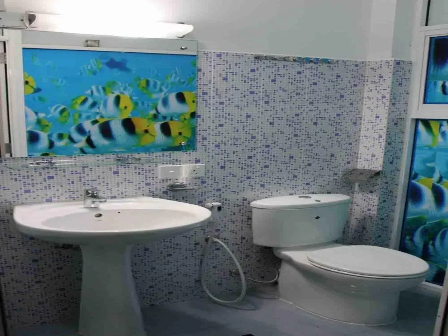 Blue Elephant Guest House