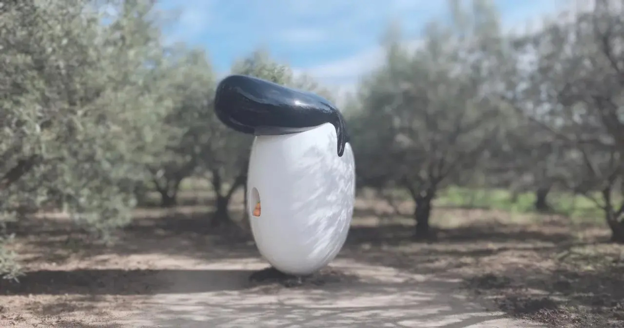 Shodoshima International Hotel