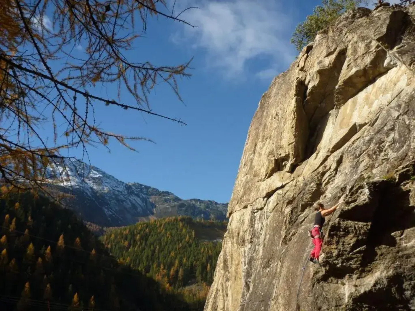 Freestyle Inn Apartment