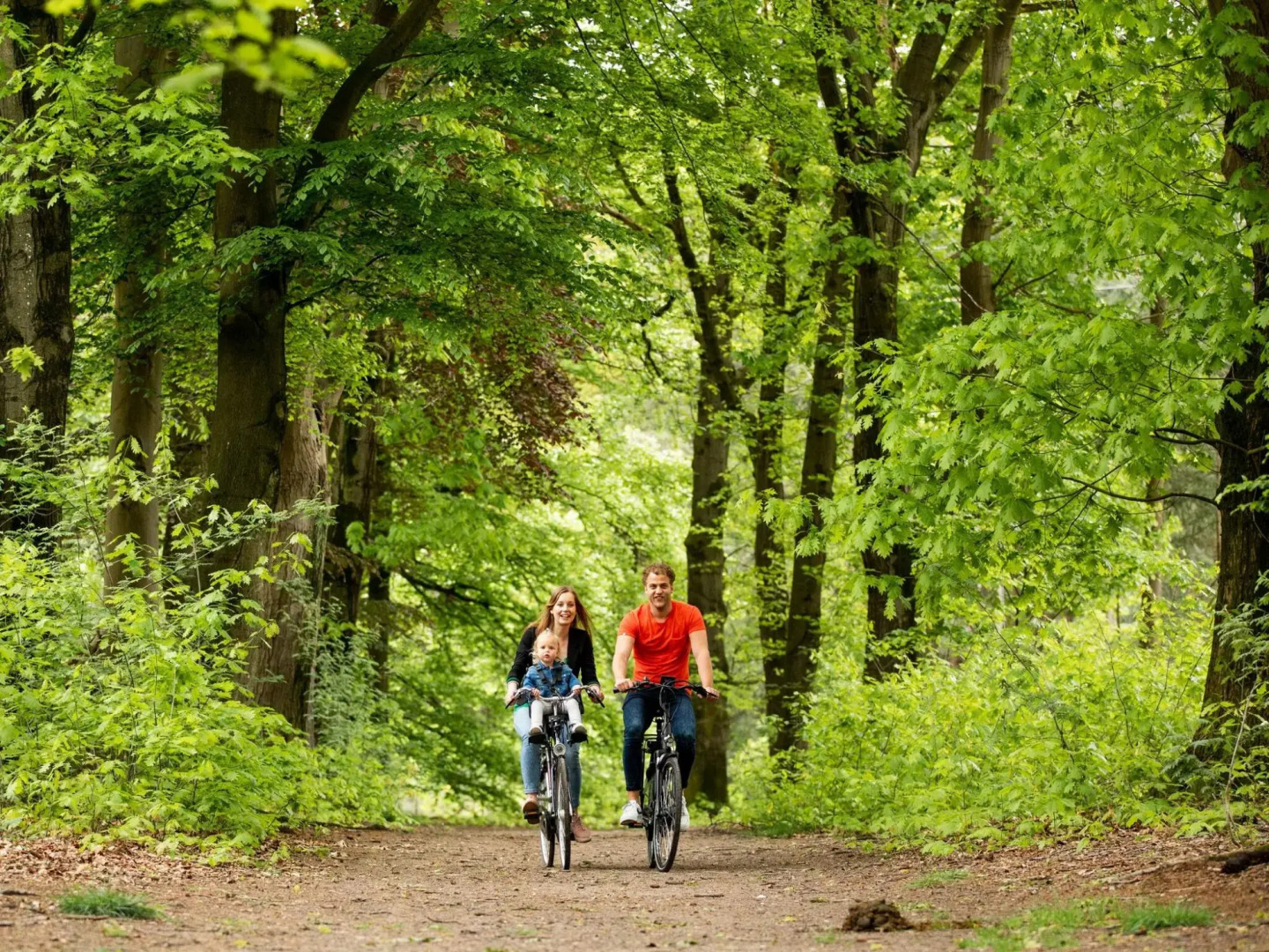 Modern Chalet Close to De Veluwe