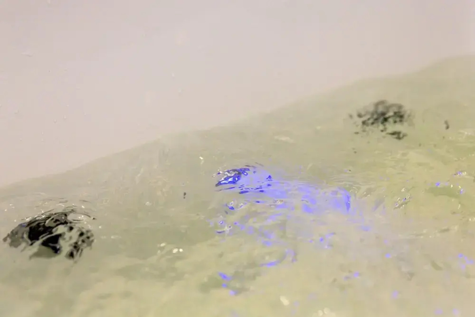 Ferienhäuser Zingster Perlen & TraumZeit