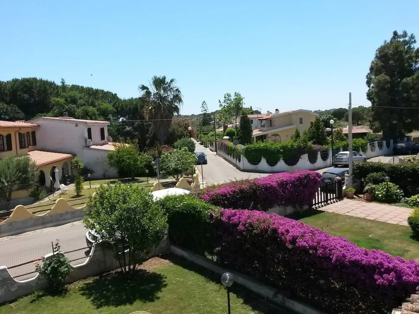B&B Helianthus