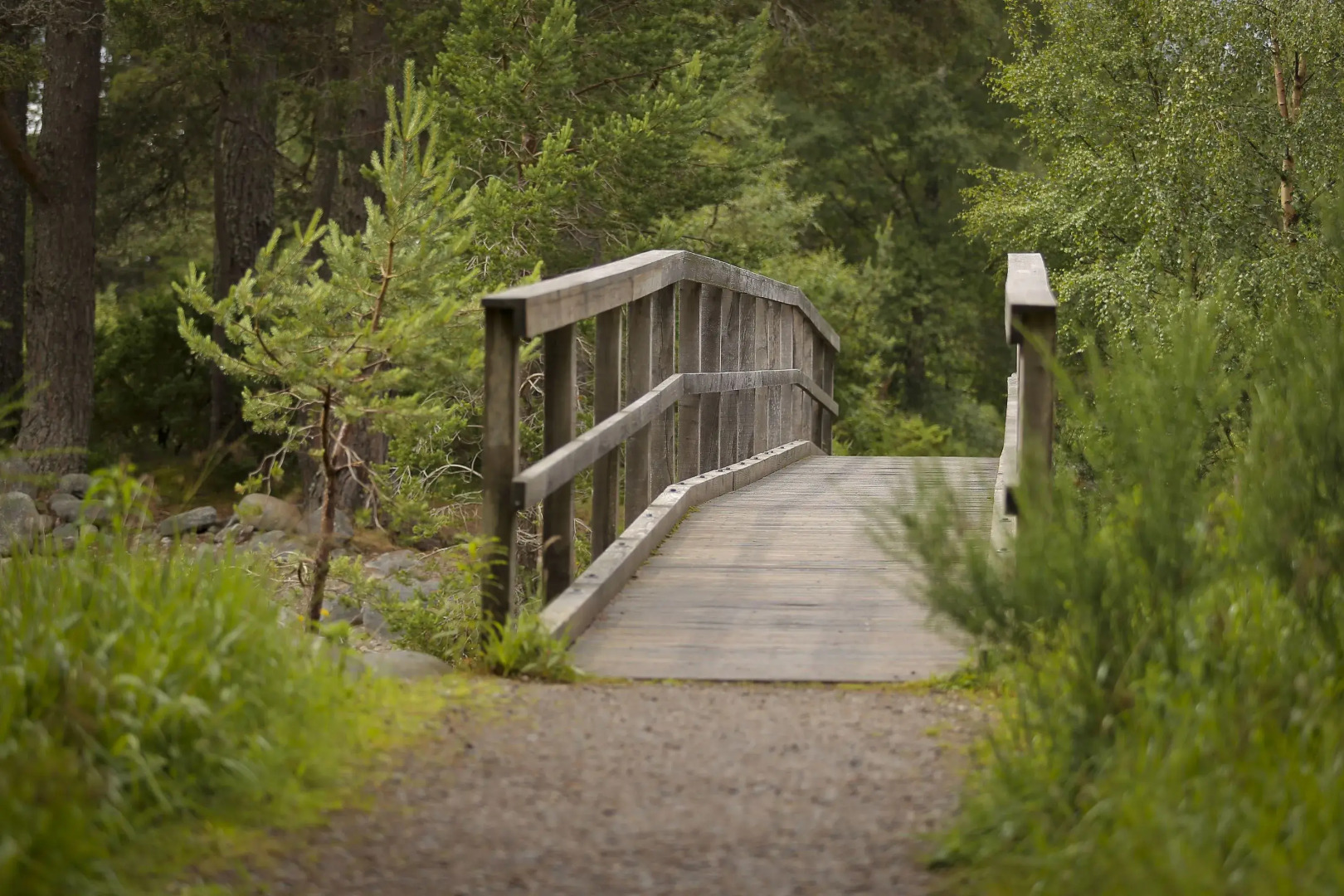 Cairngorm Lodge Youth Hostel