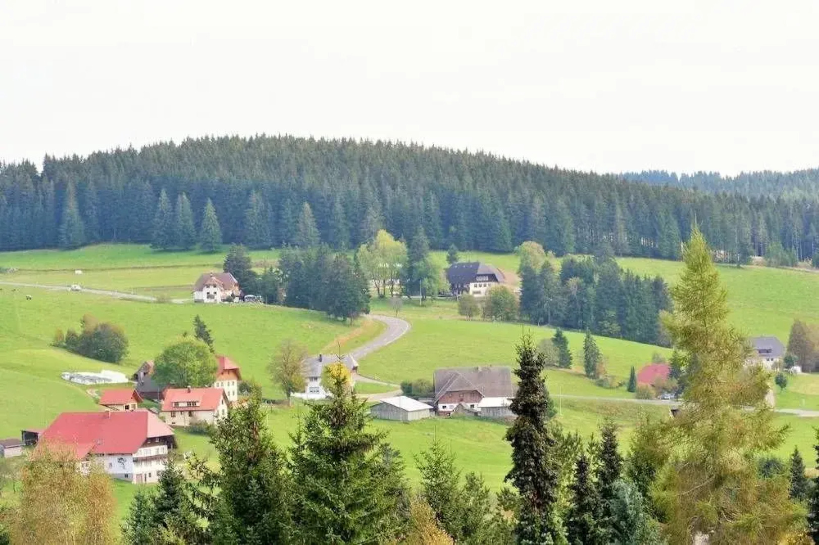 Schwarzwaldhotel Schönwald