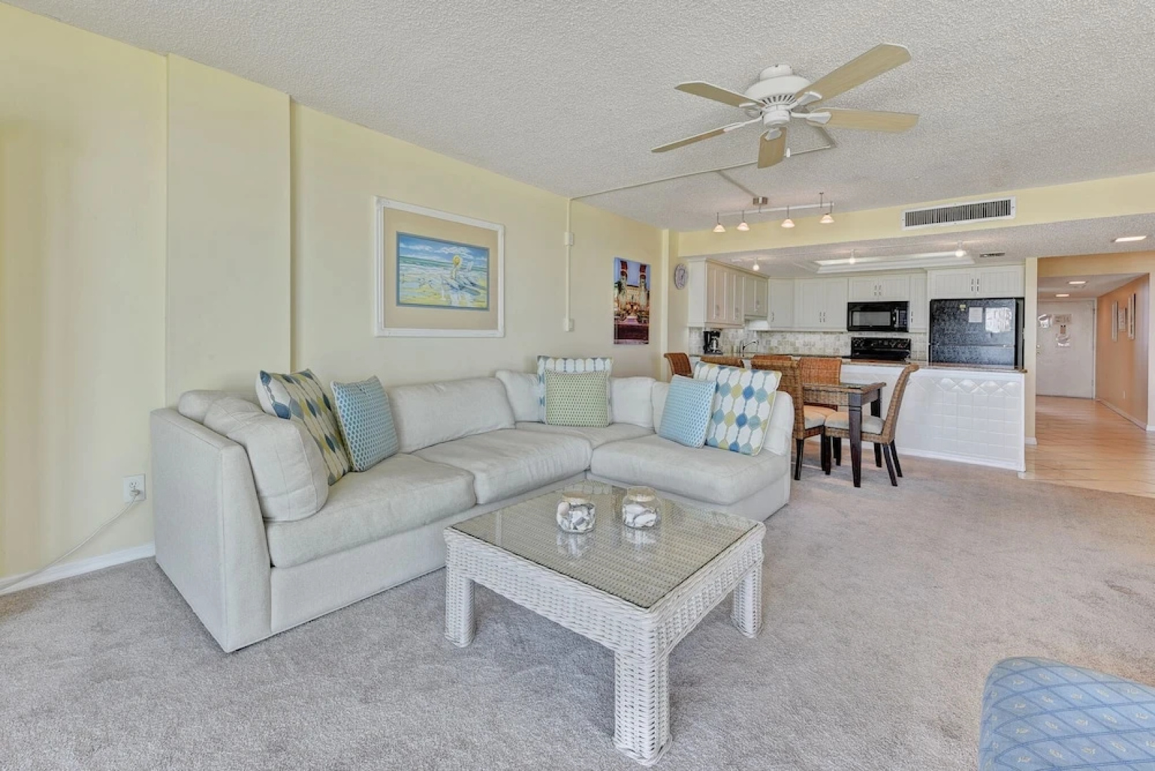 Sand Dollar 1-105