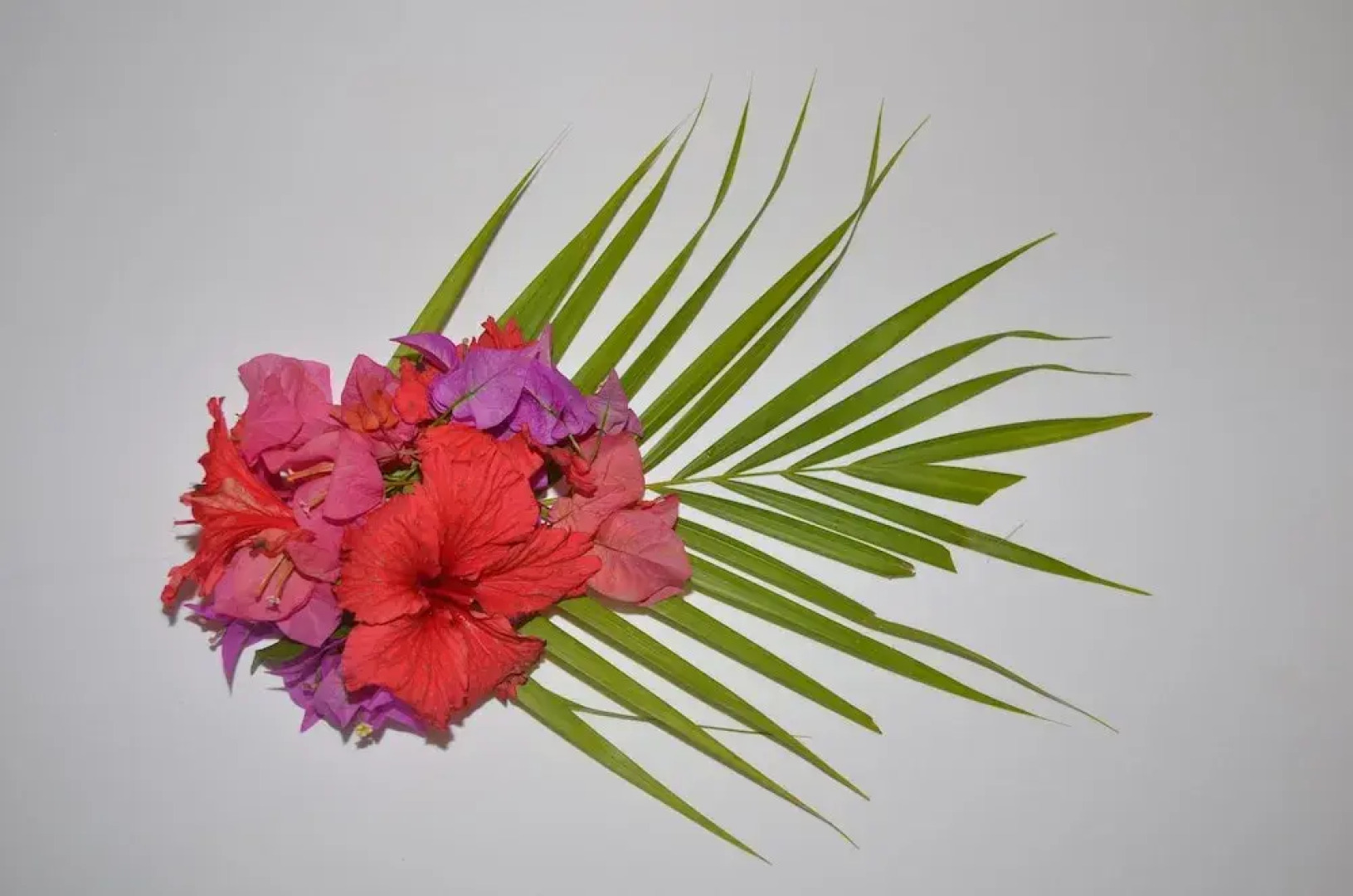 Bulabard Villas on the Coast