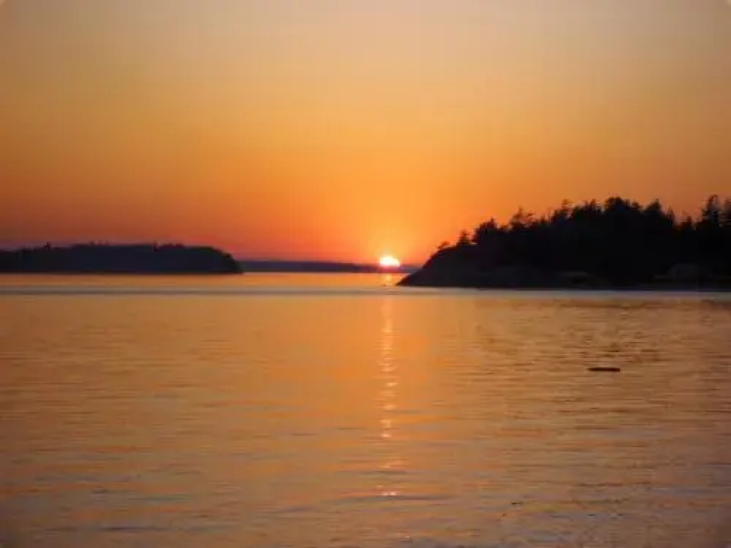 Blitz Beach House Oceanside Suite