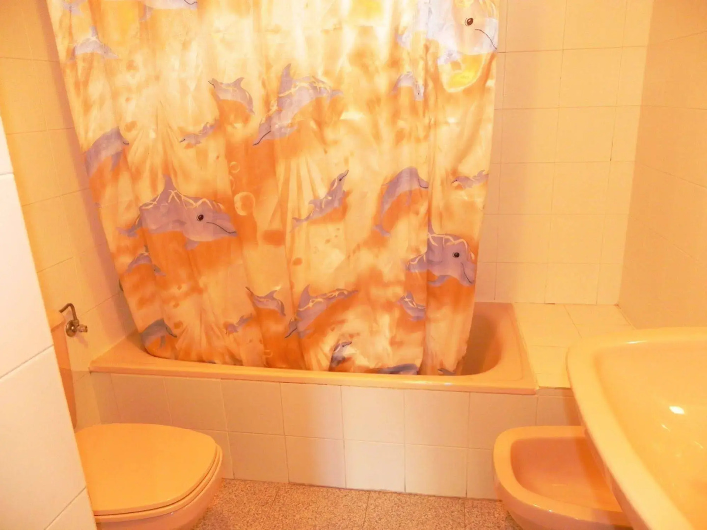 Apartamentos 3000 Jaca