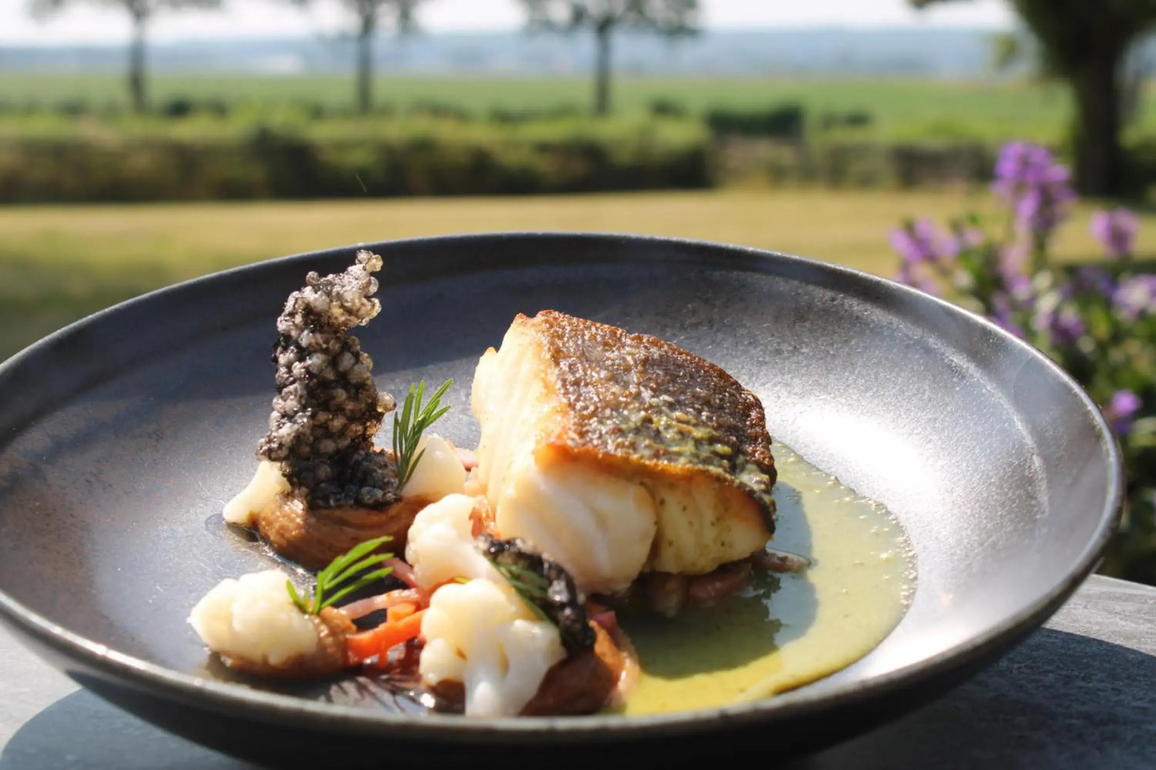 Havezathe Carpe Diem