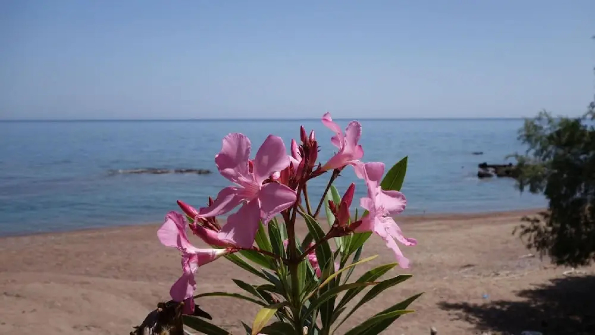 Alisahni Beachfront Villas Rhodes Beachfront Sea View Villa