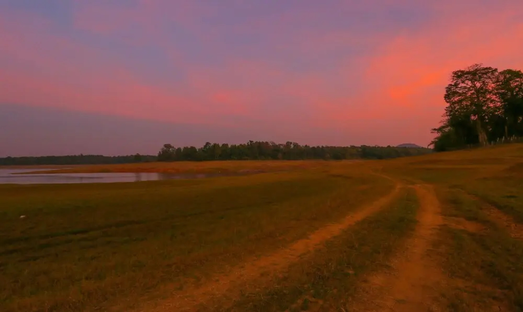 Treebo Trip River Tern Coorg