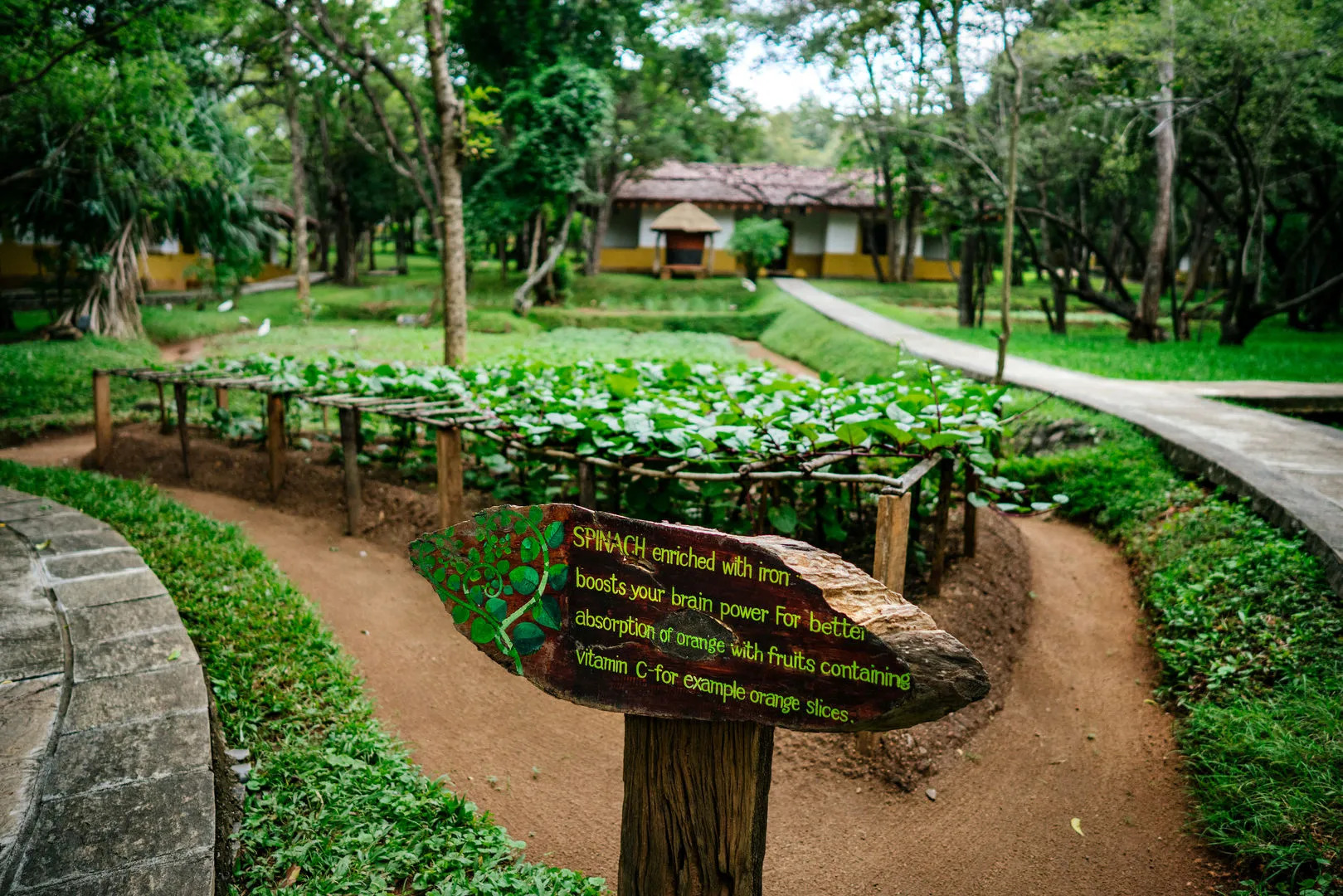 Курортный отель Amaya Lake Dambulla