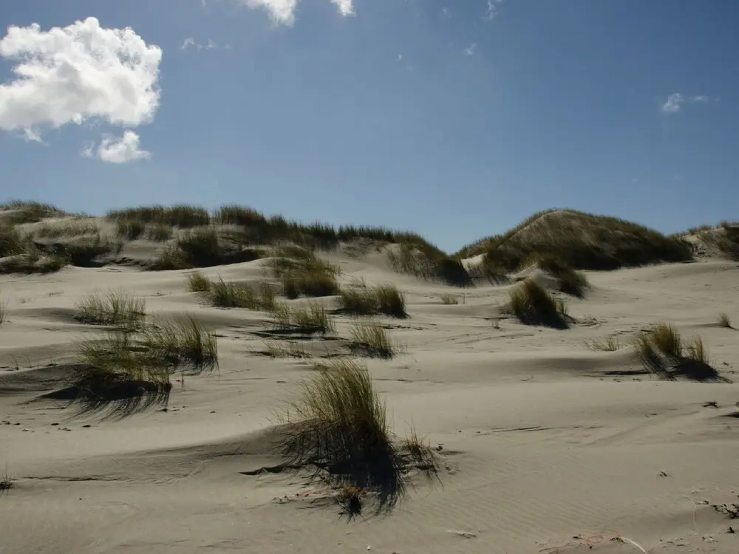 Spacious and Comfortable Holiday Home in Modernised Drive-in House