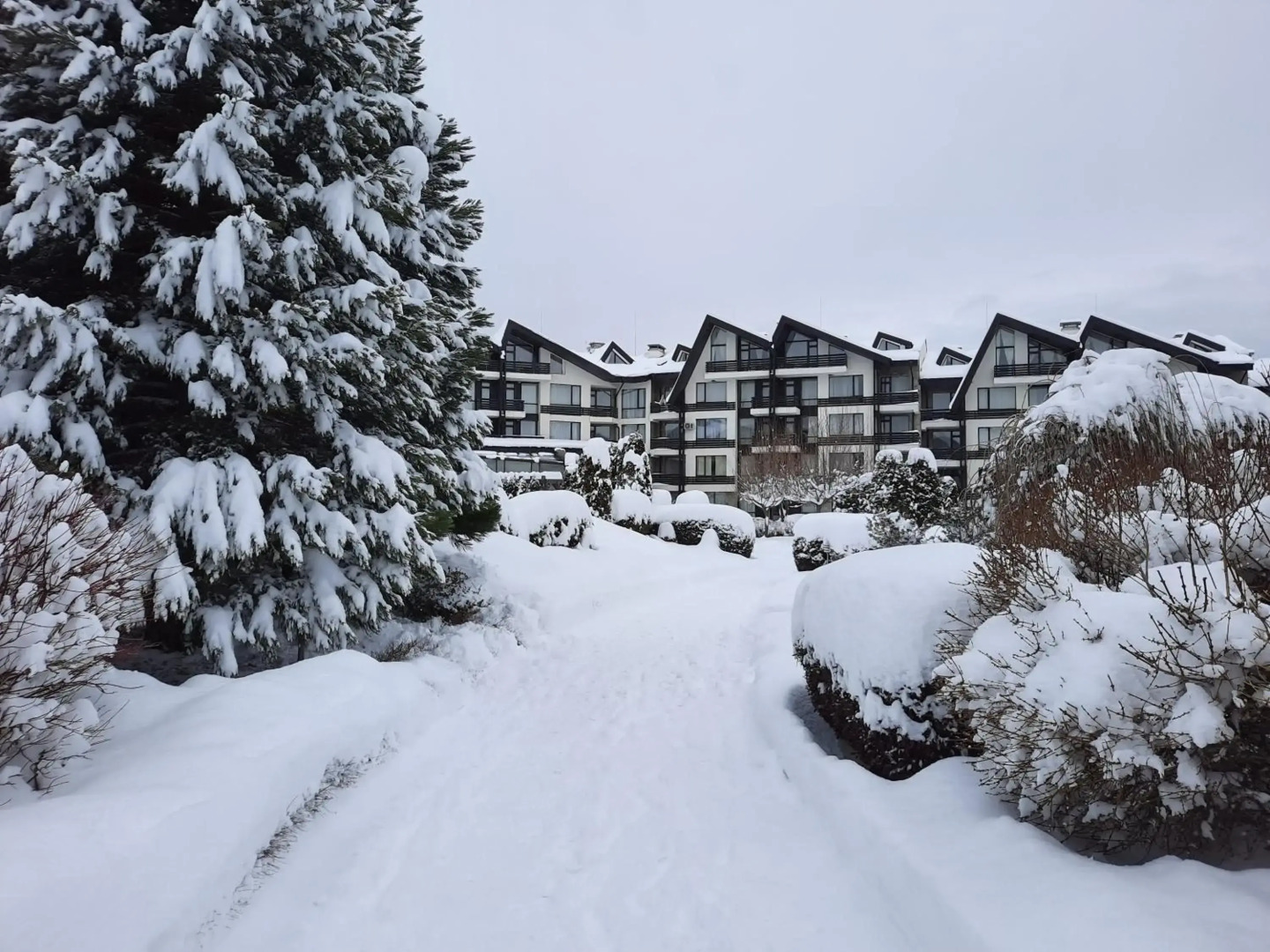 Aspen Resort Golf & Ski