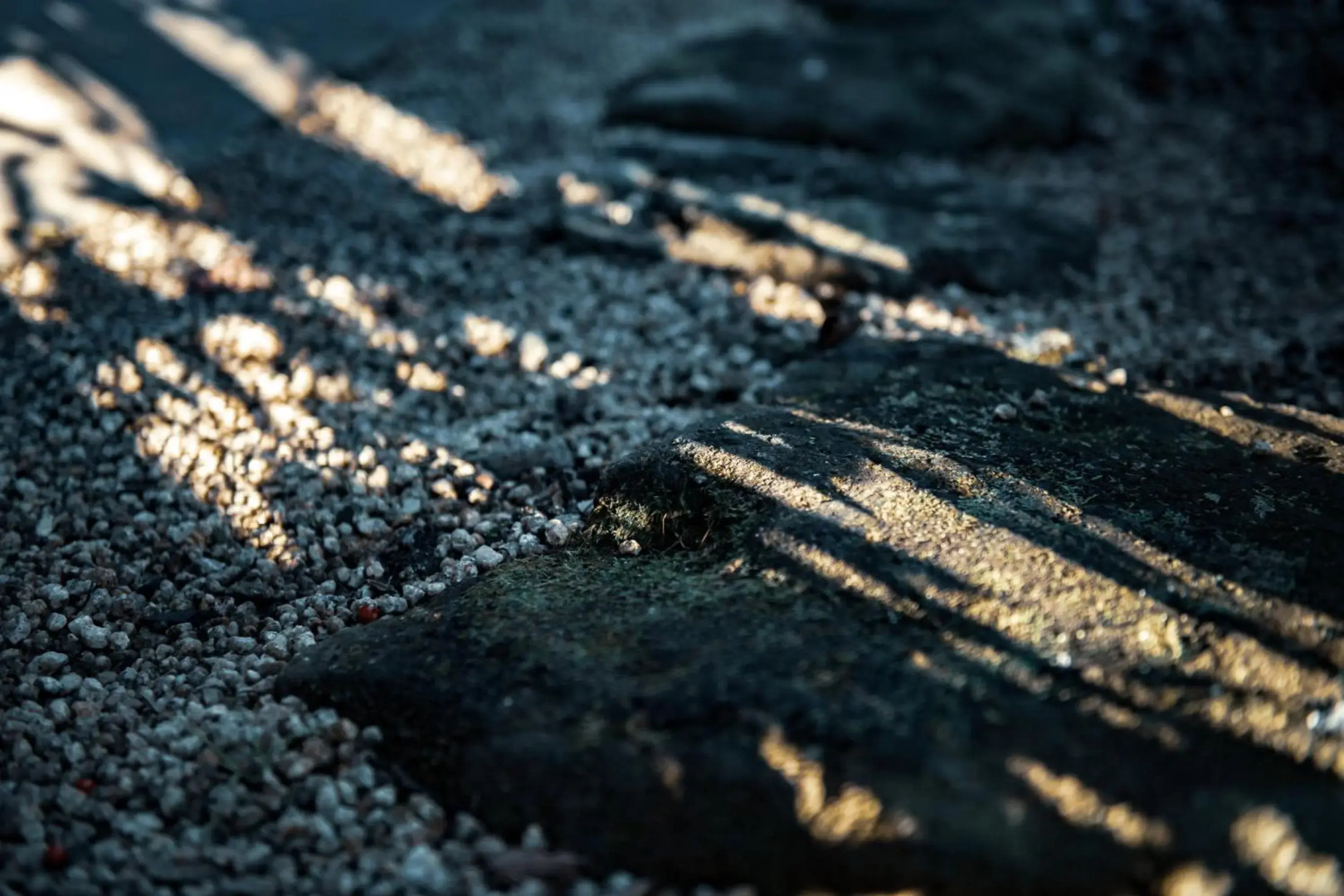 taos 丹波の風土を感じられる一棟貸切の宿