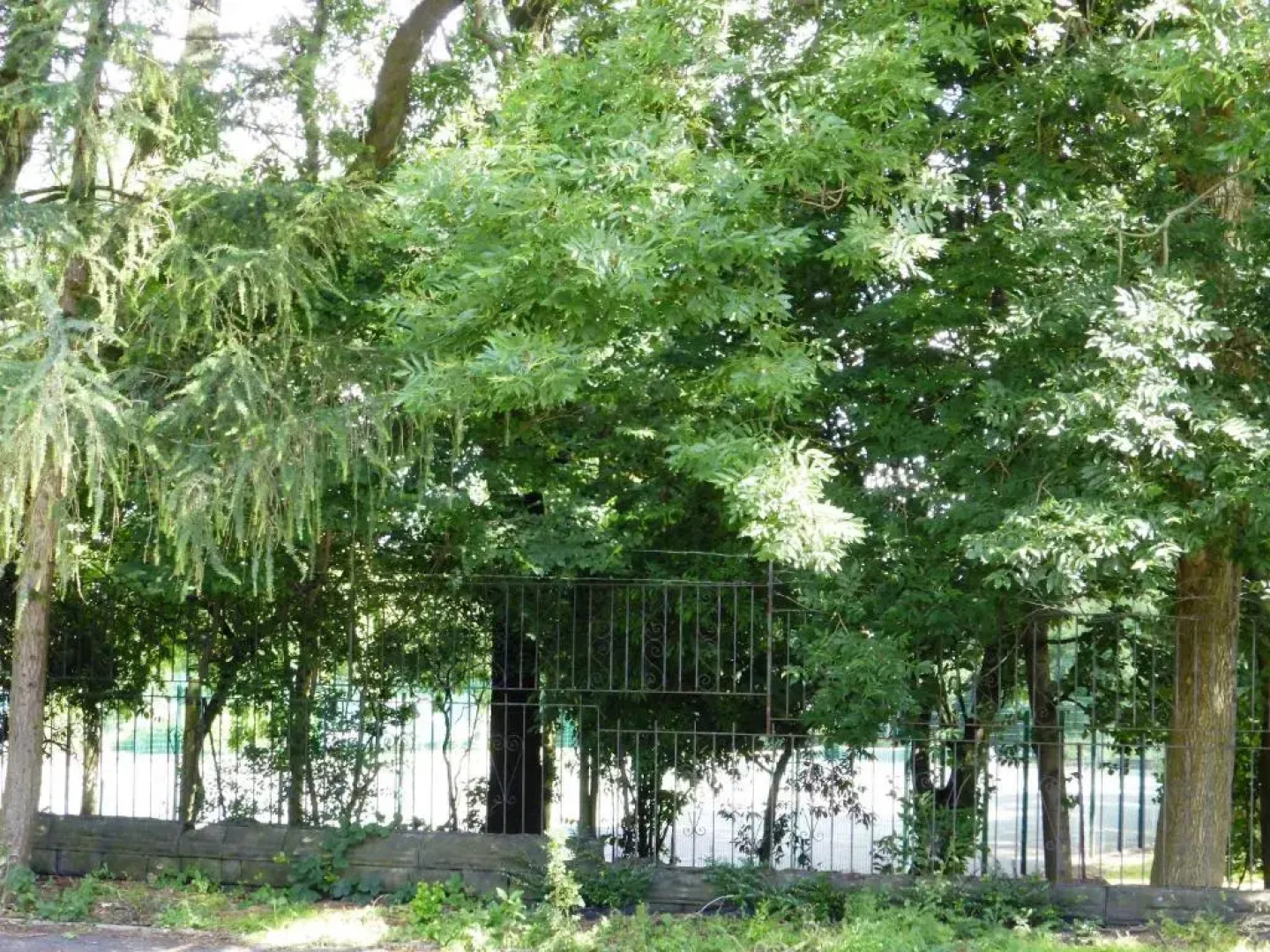 The Old Vicarage Hotel