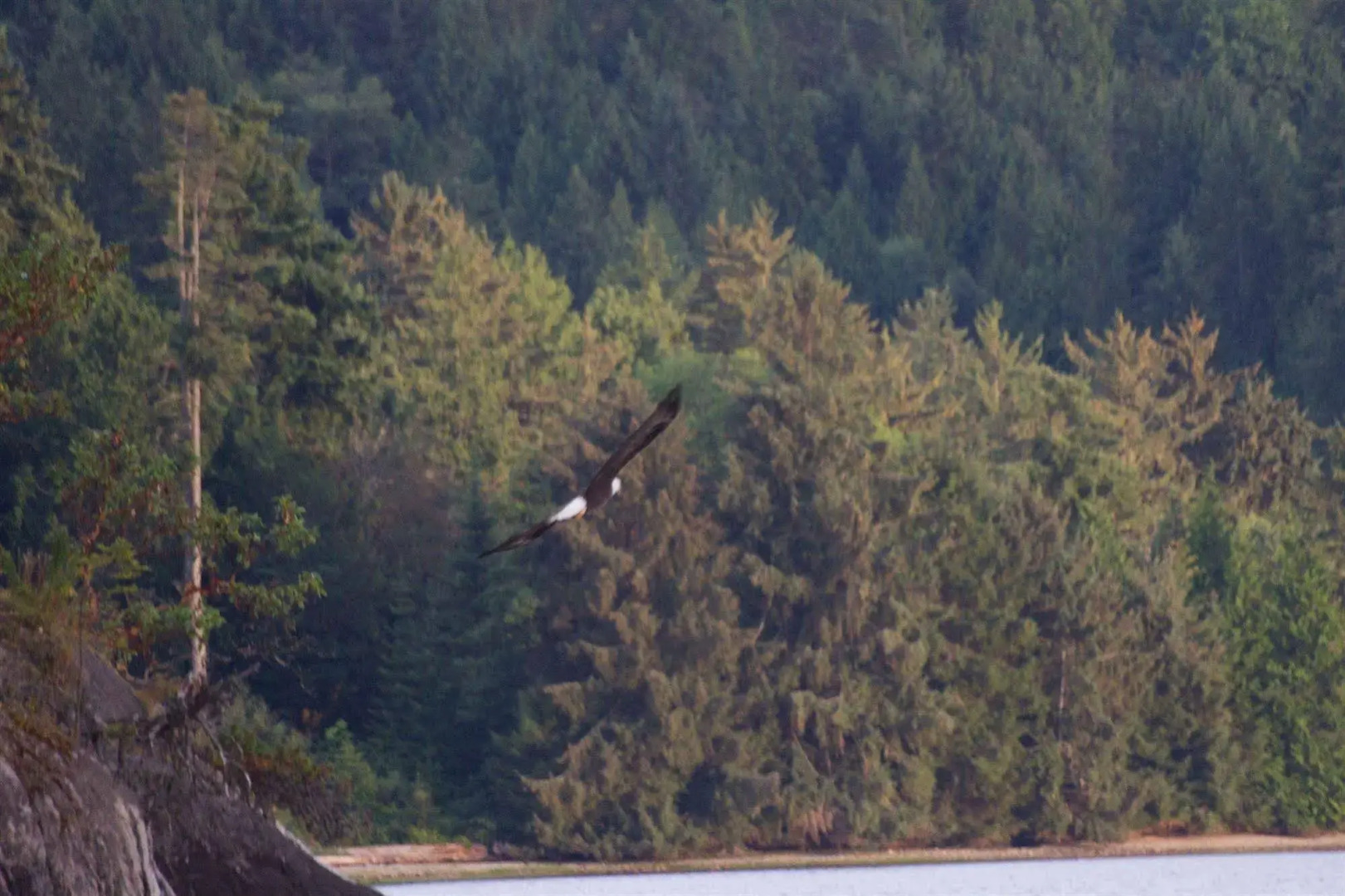Tranquility Bay Waterfront Inn