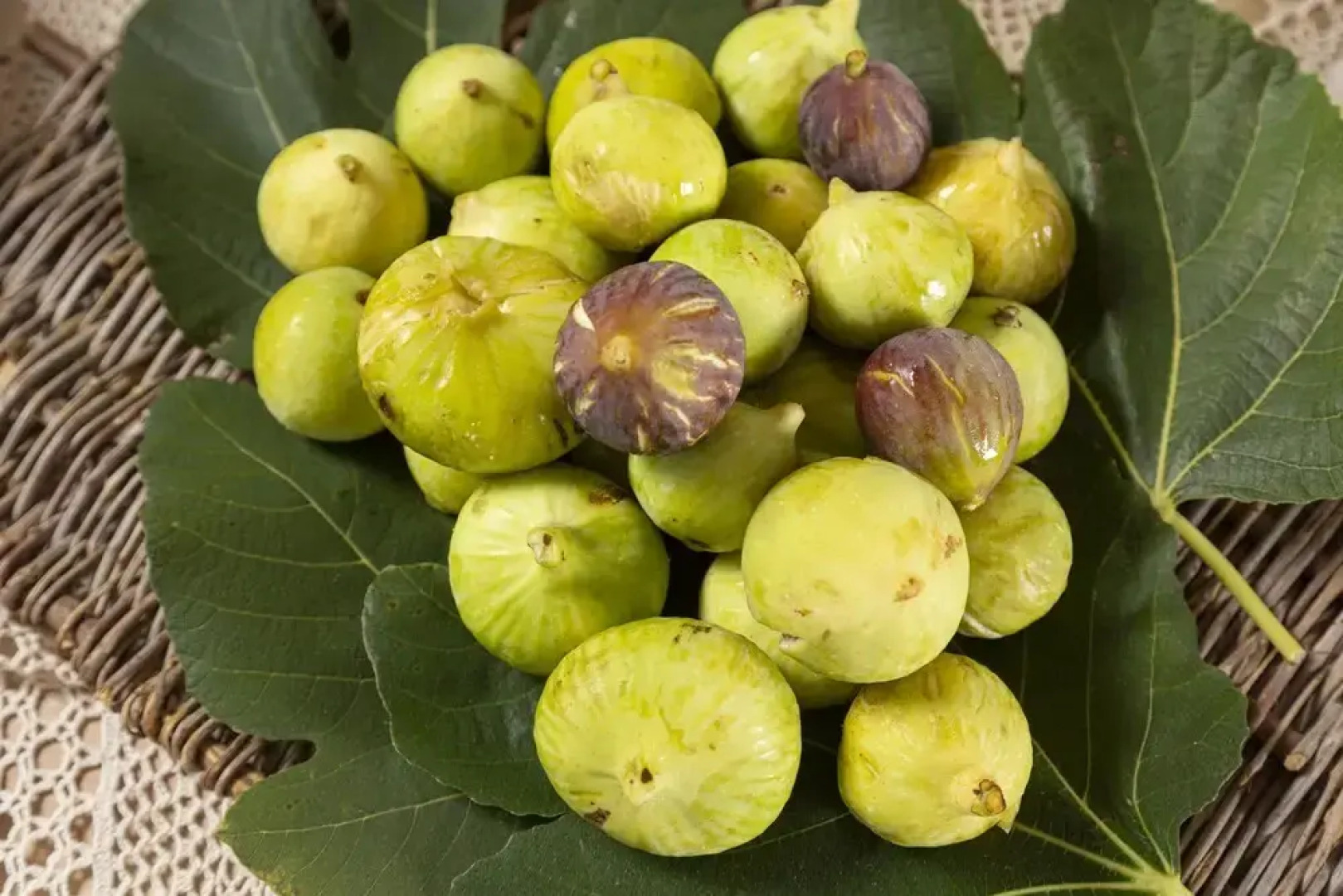 Podere40 Country Hotel