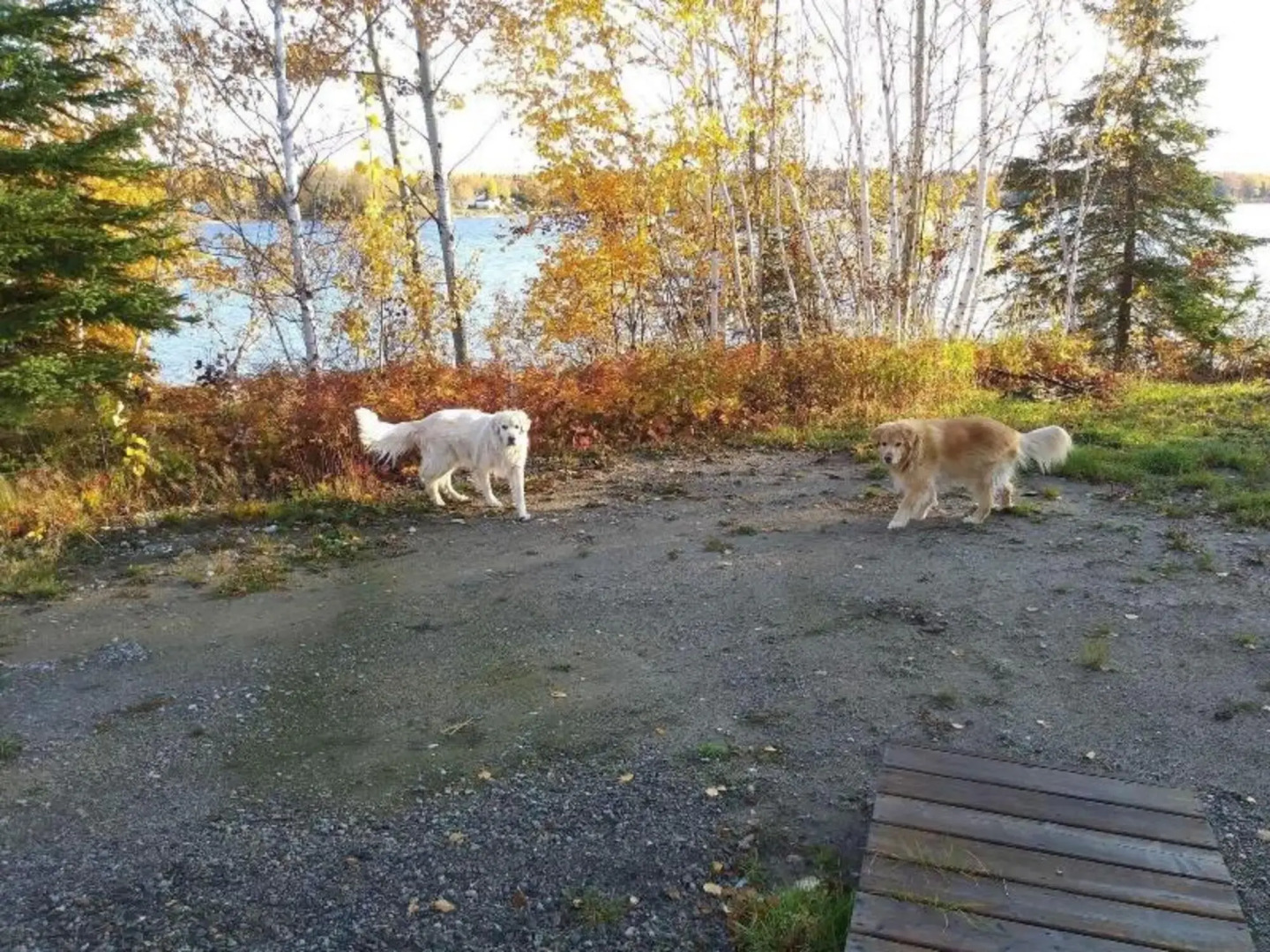 Auberge du Lac Tiblemont