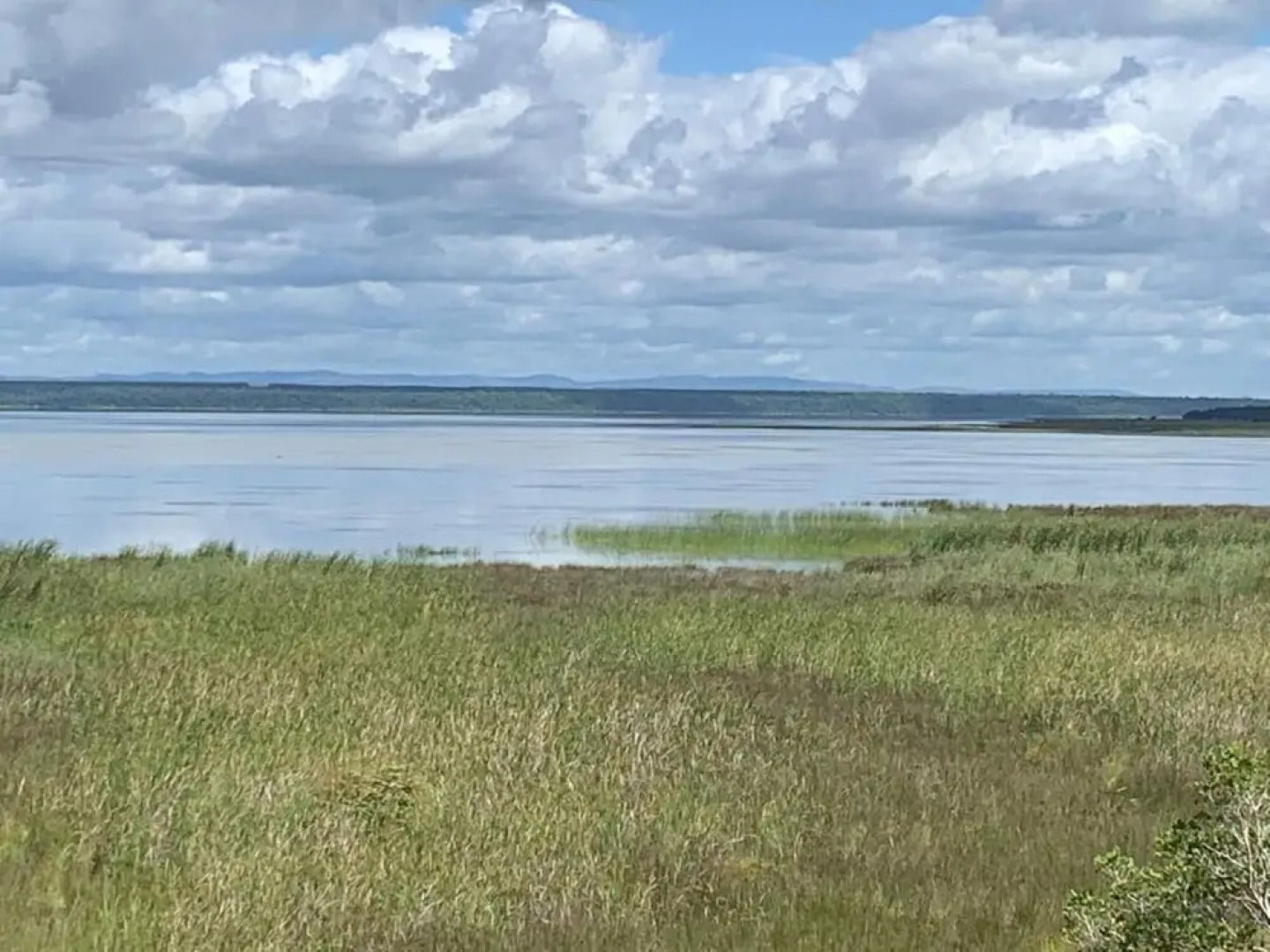 Flamingo Holiday Apartments