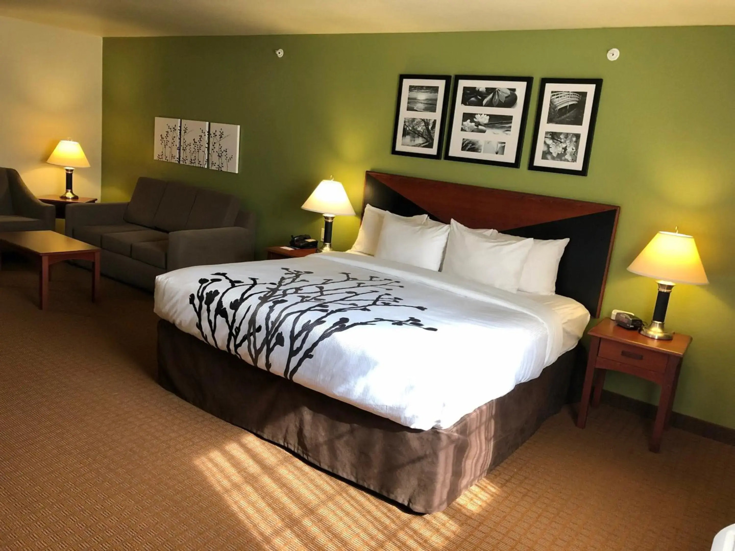 Sleep Inn & Suites Shamrock