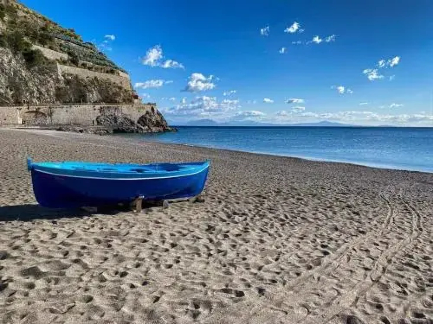 Brasca 2018 Rosa Canina