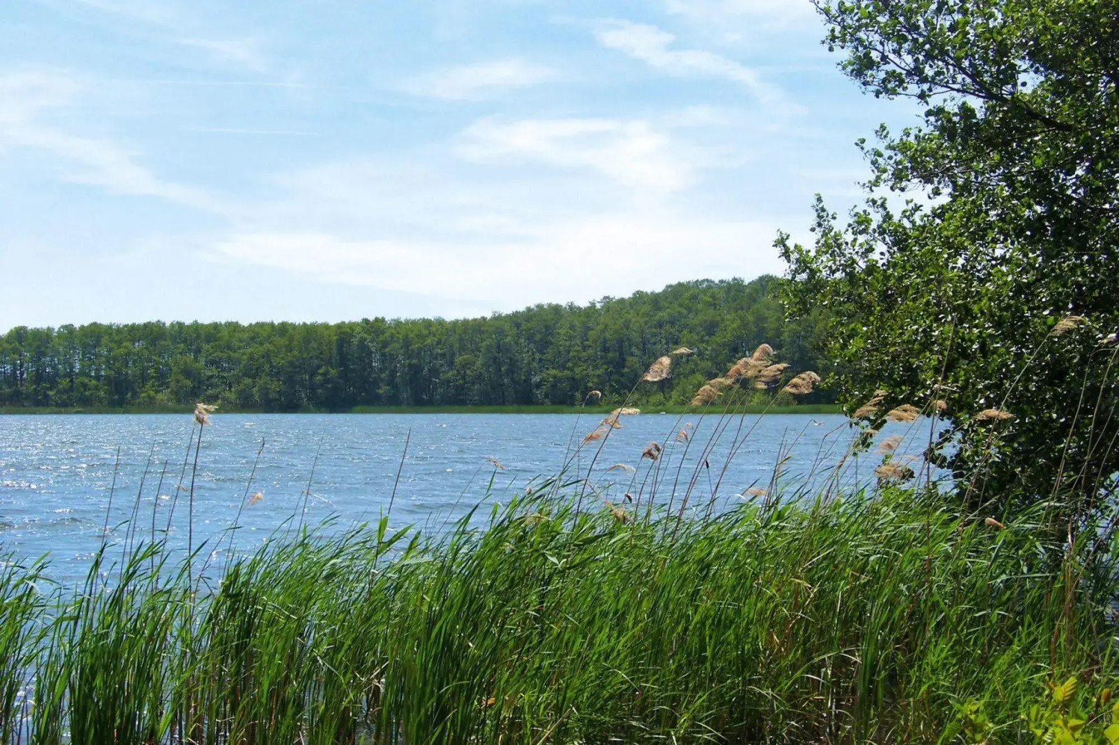 Row house lake view, Sommersdorf