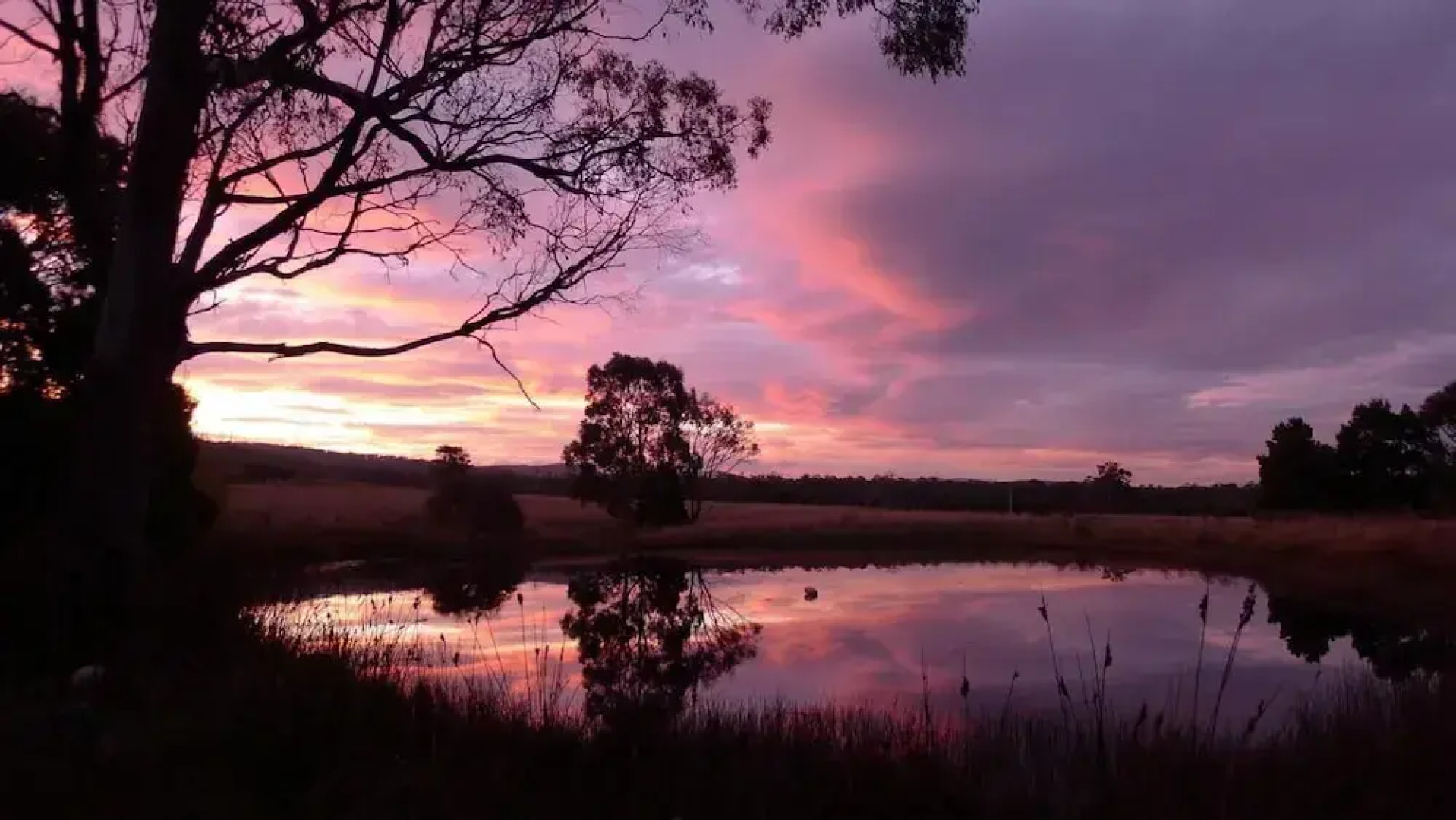Wind Song Bed and Breakfast