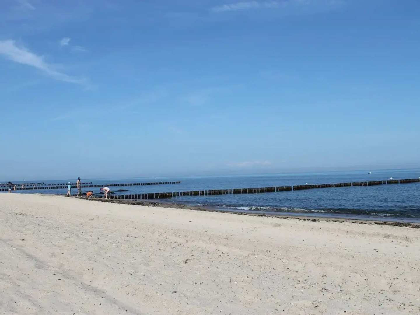Modern Apartment Near Sea in Kuhlungsborn