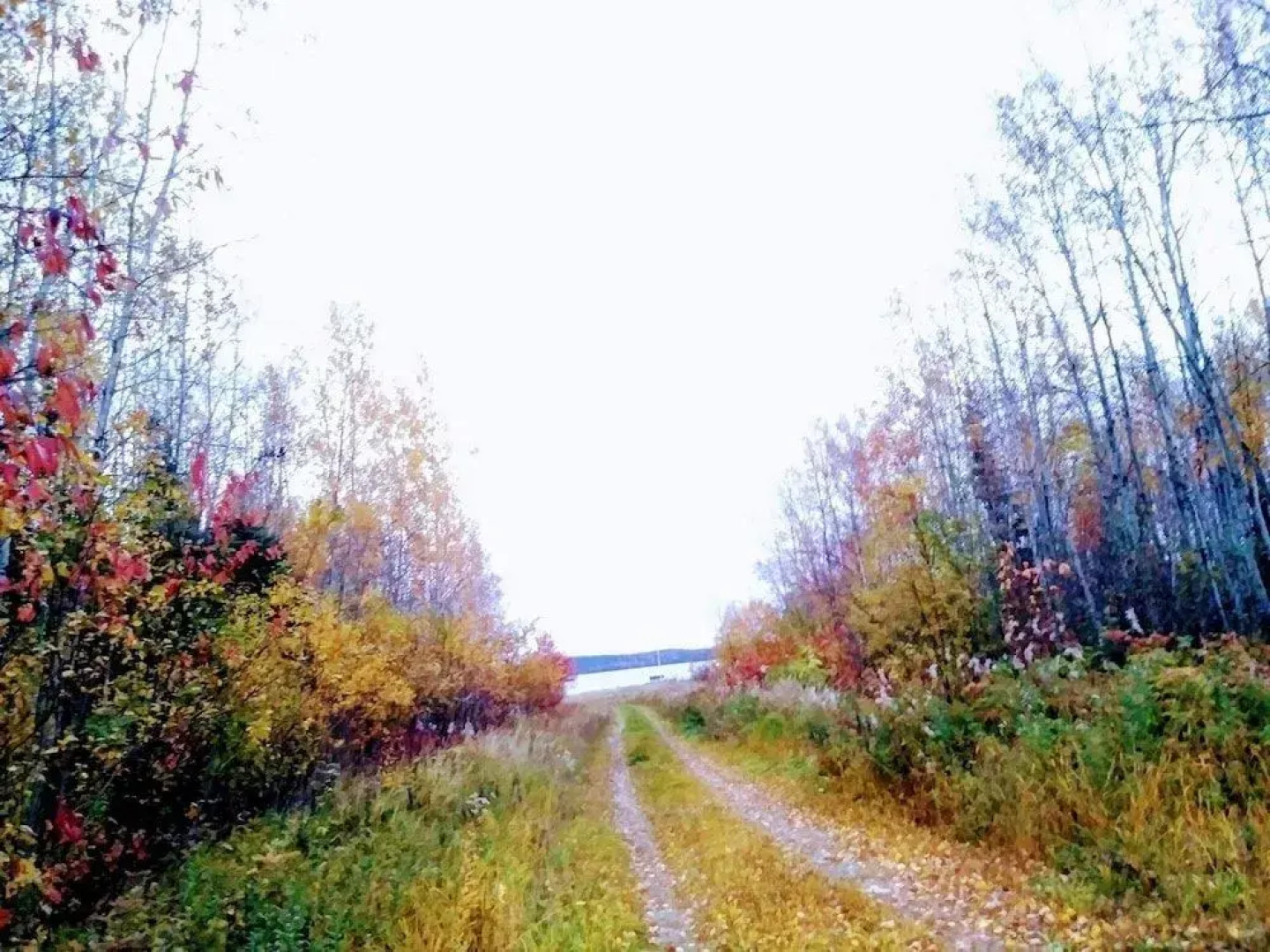 Auberge du Lac Tiblemont