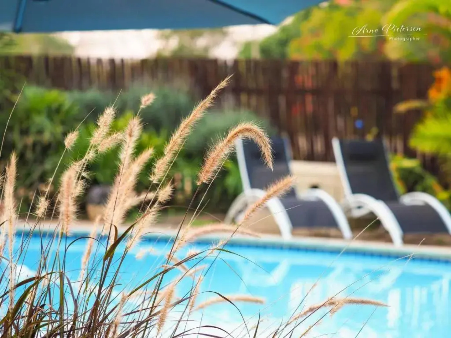 Fever Tree Guesthouse