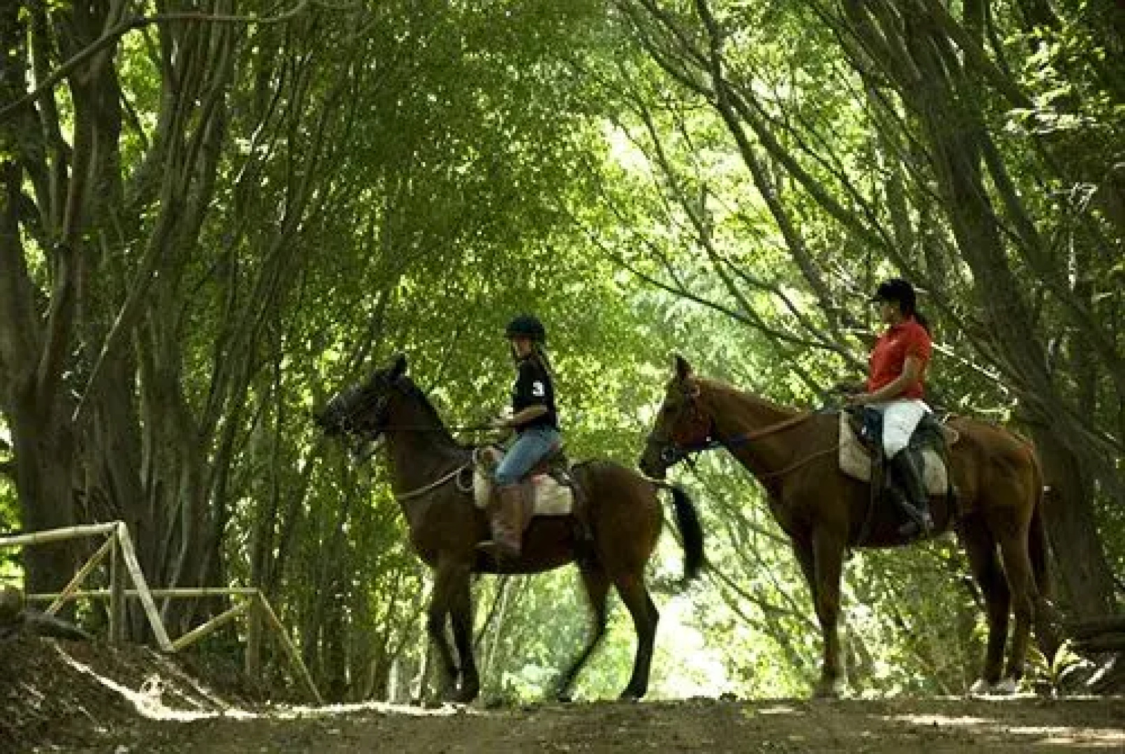 La Reunion Golf Resort & Residences