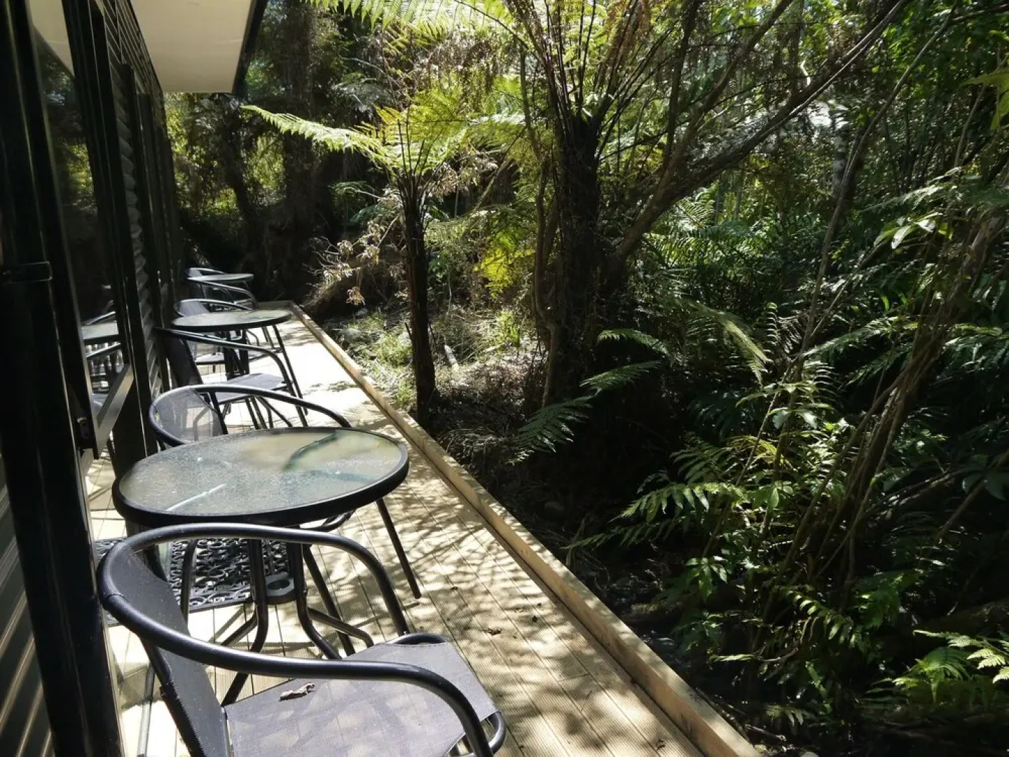 Forest View Franz Josef