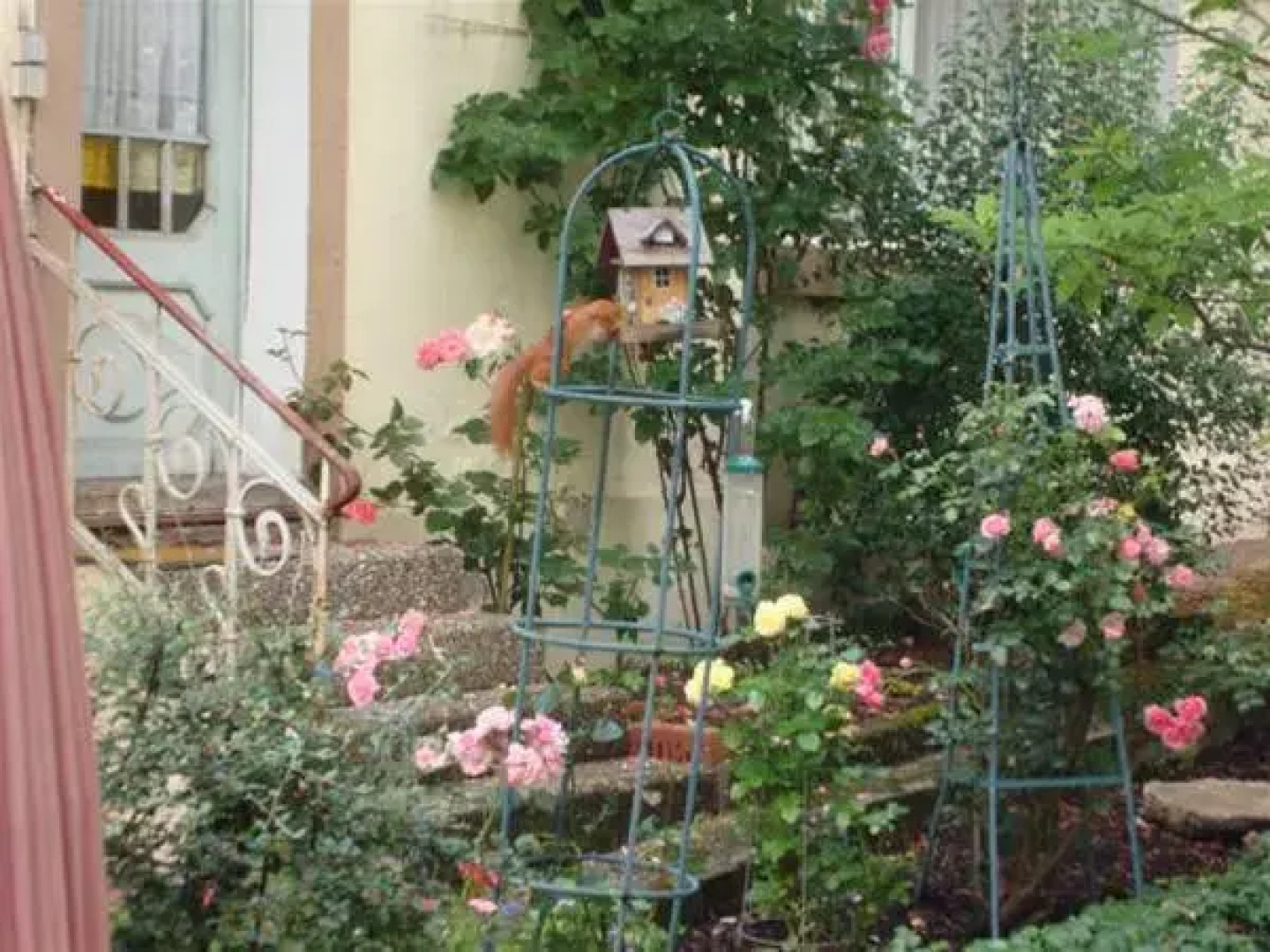 Wohlfühlhotel Saxonia