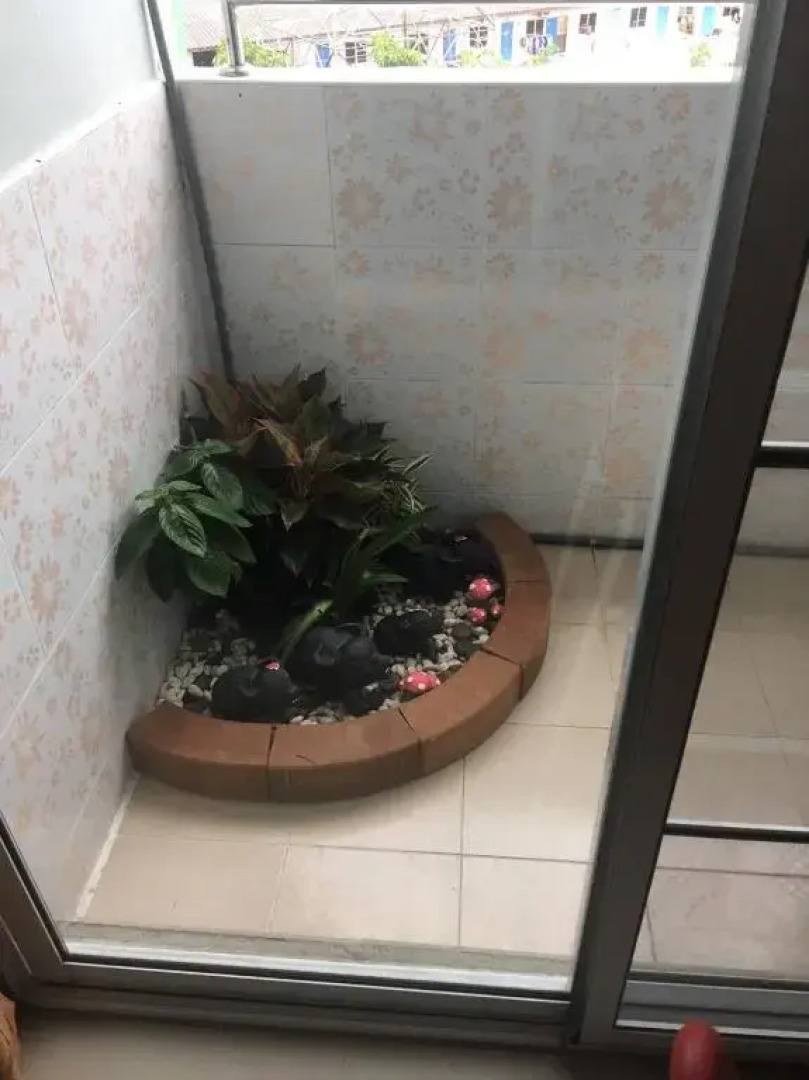 D5 Hotel สาขา หนองตำลึง