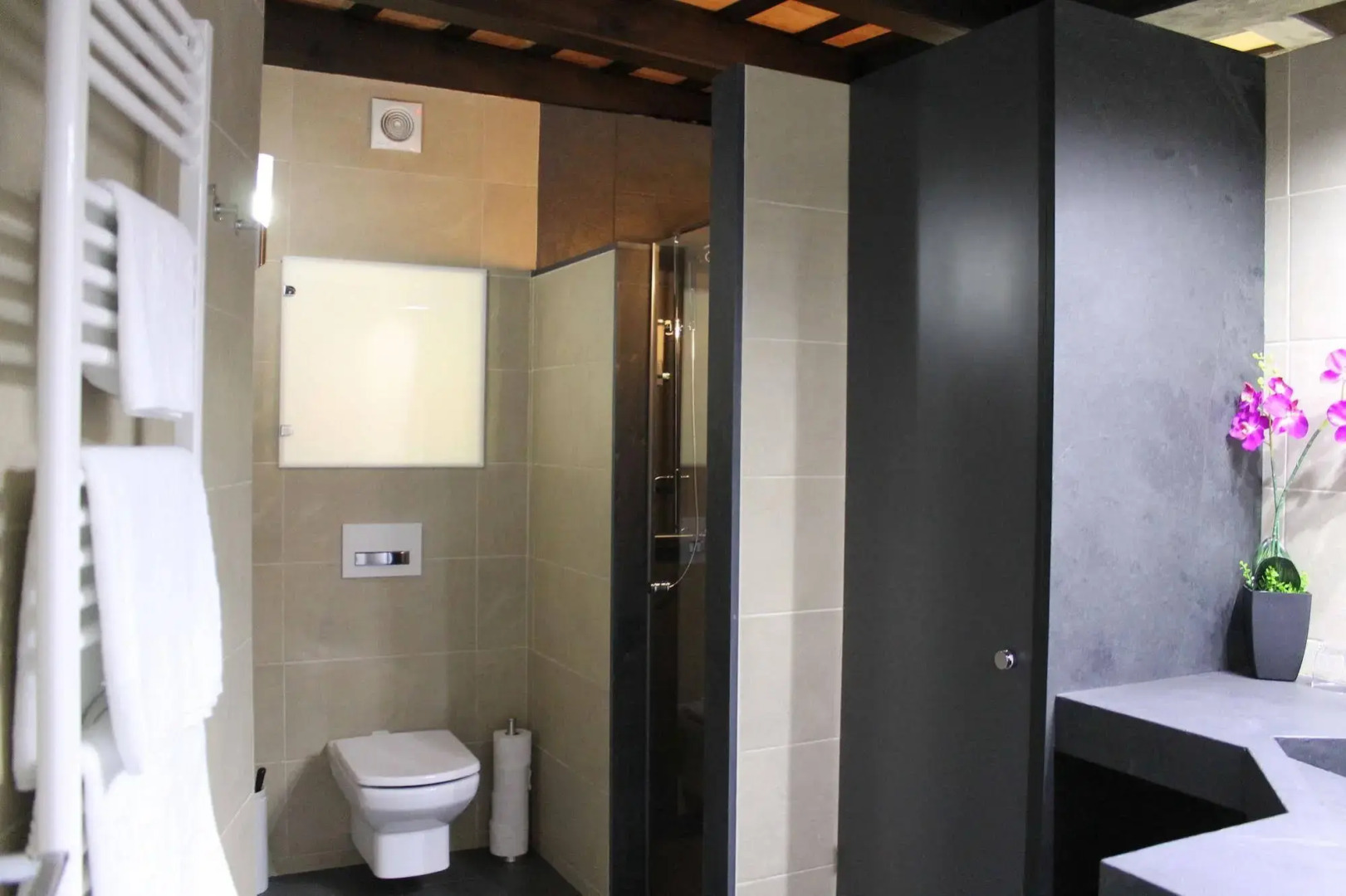 Apartaments Entre Volcans