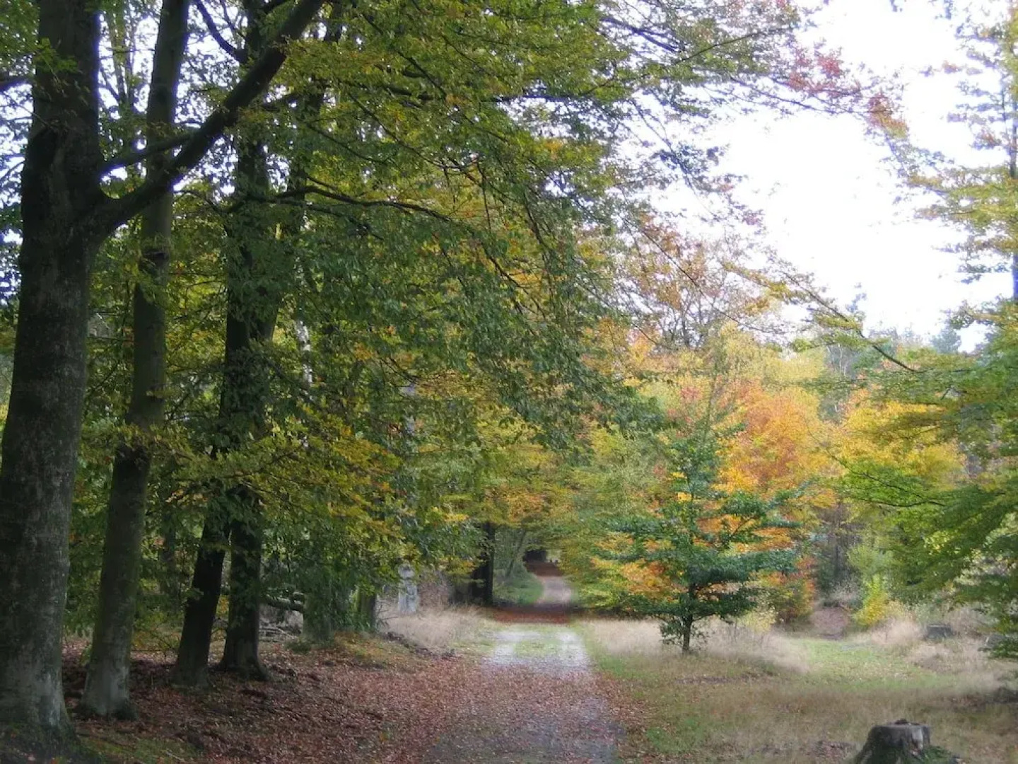 Modern villa with deco fireplace and dishwasher in De Veluwe