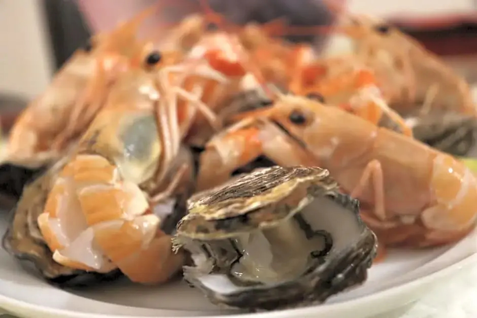 Le Camere DellAncora