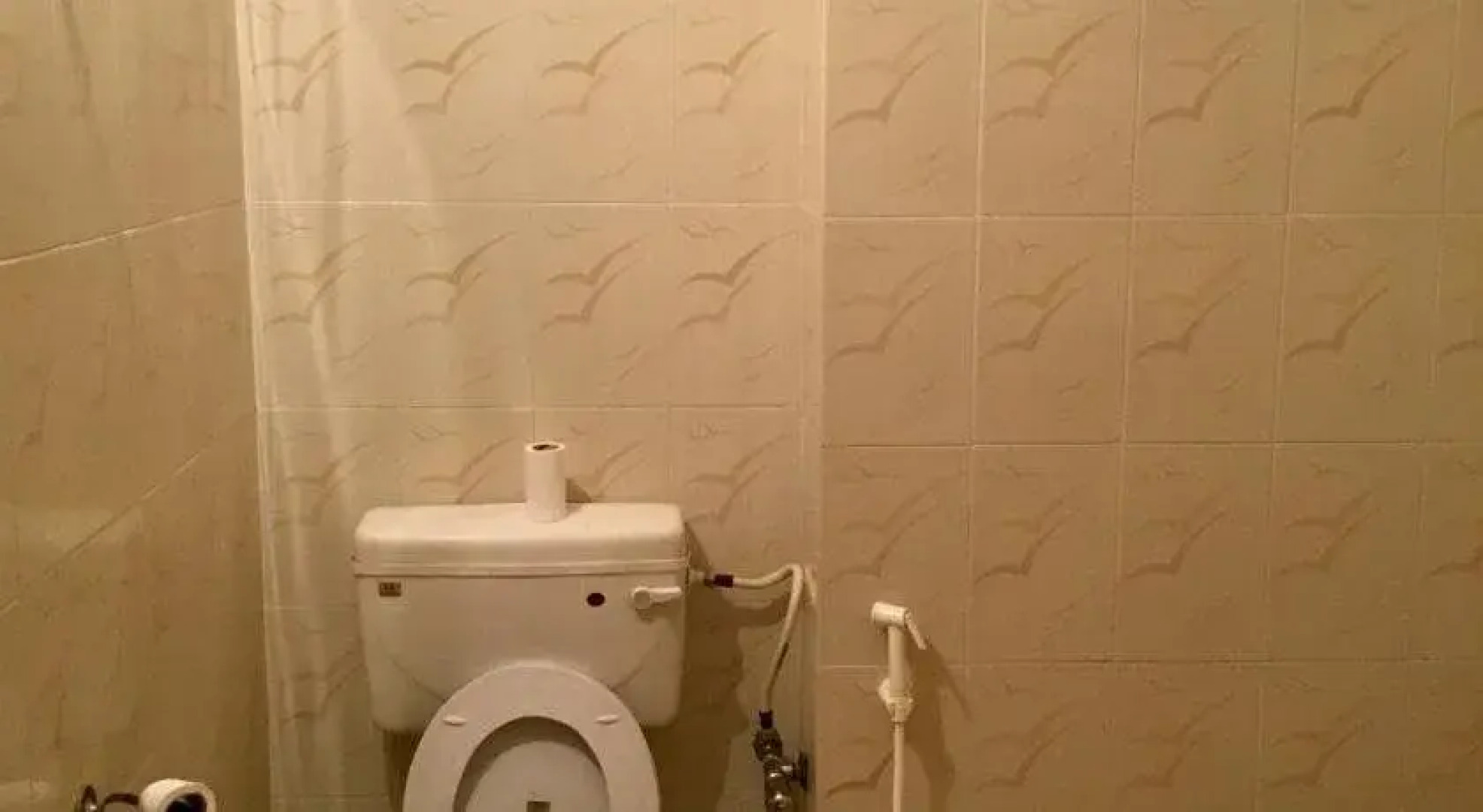 Hotel Chaitanya International