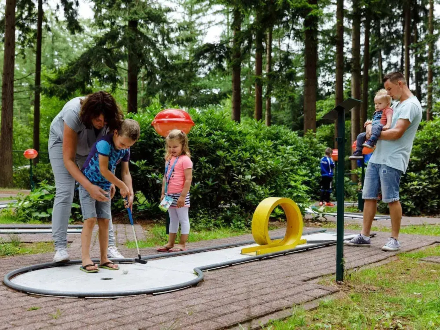 Modern Bungalow With Covered Terrace, in Appelscha