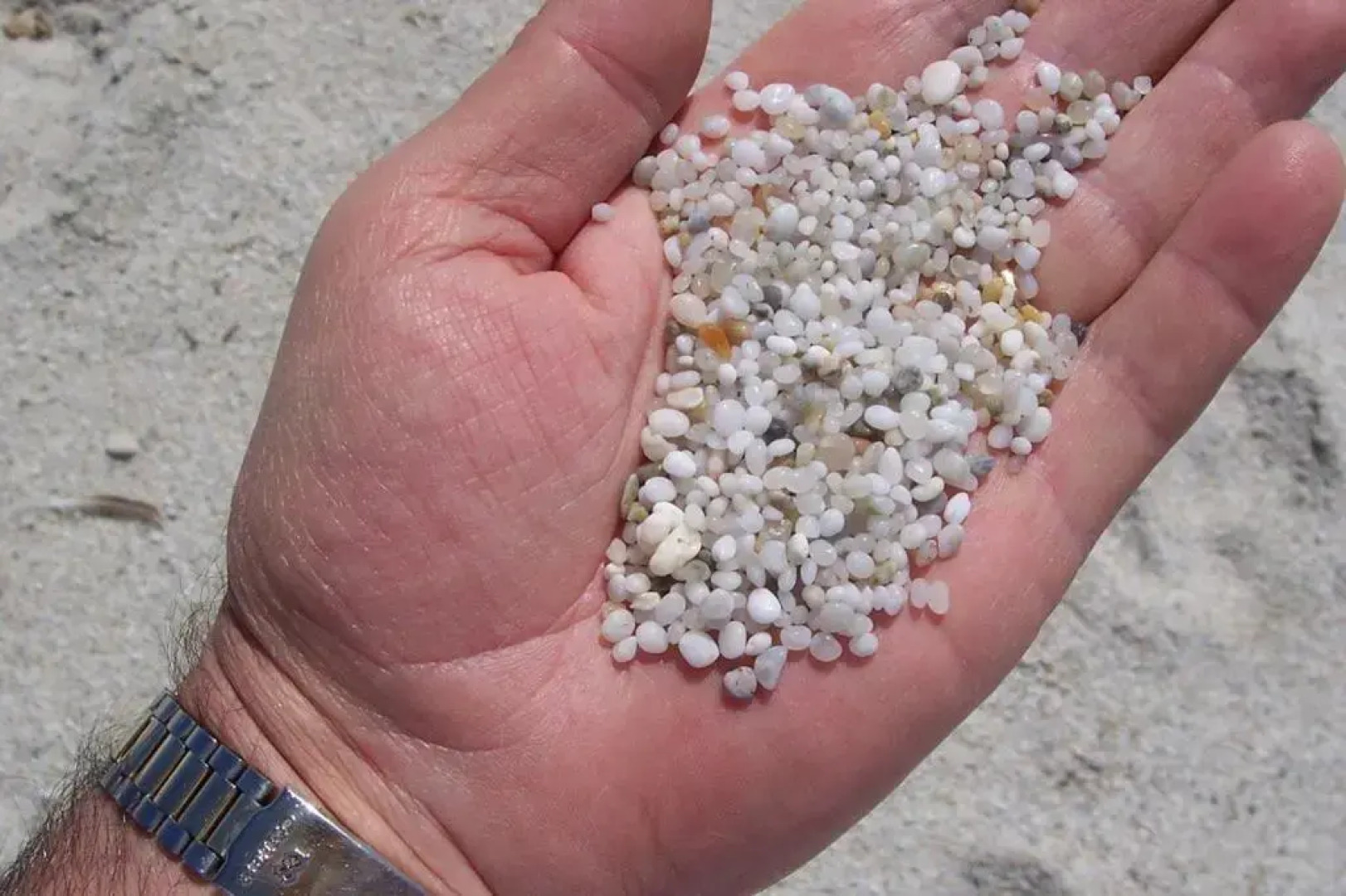 Agriturismo Le Mimose